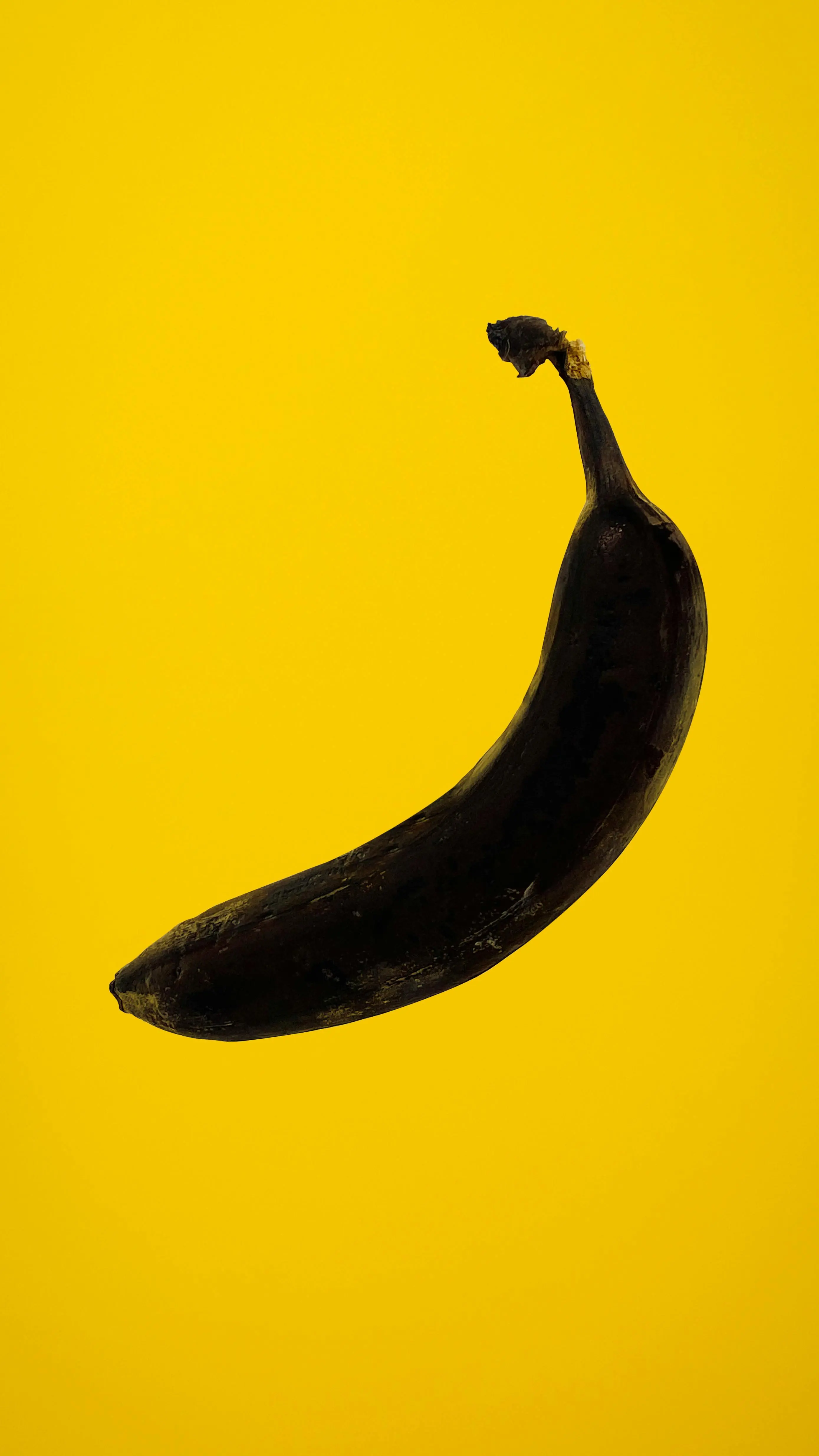 Mengapa Pisang Cepat Menghitam? Menguak Rahasia Penyimpanan untuk Mencegah Proses Pematangan Berlebih