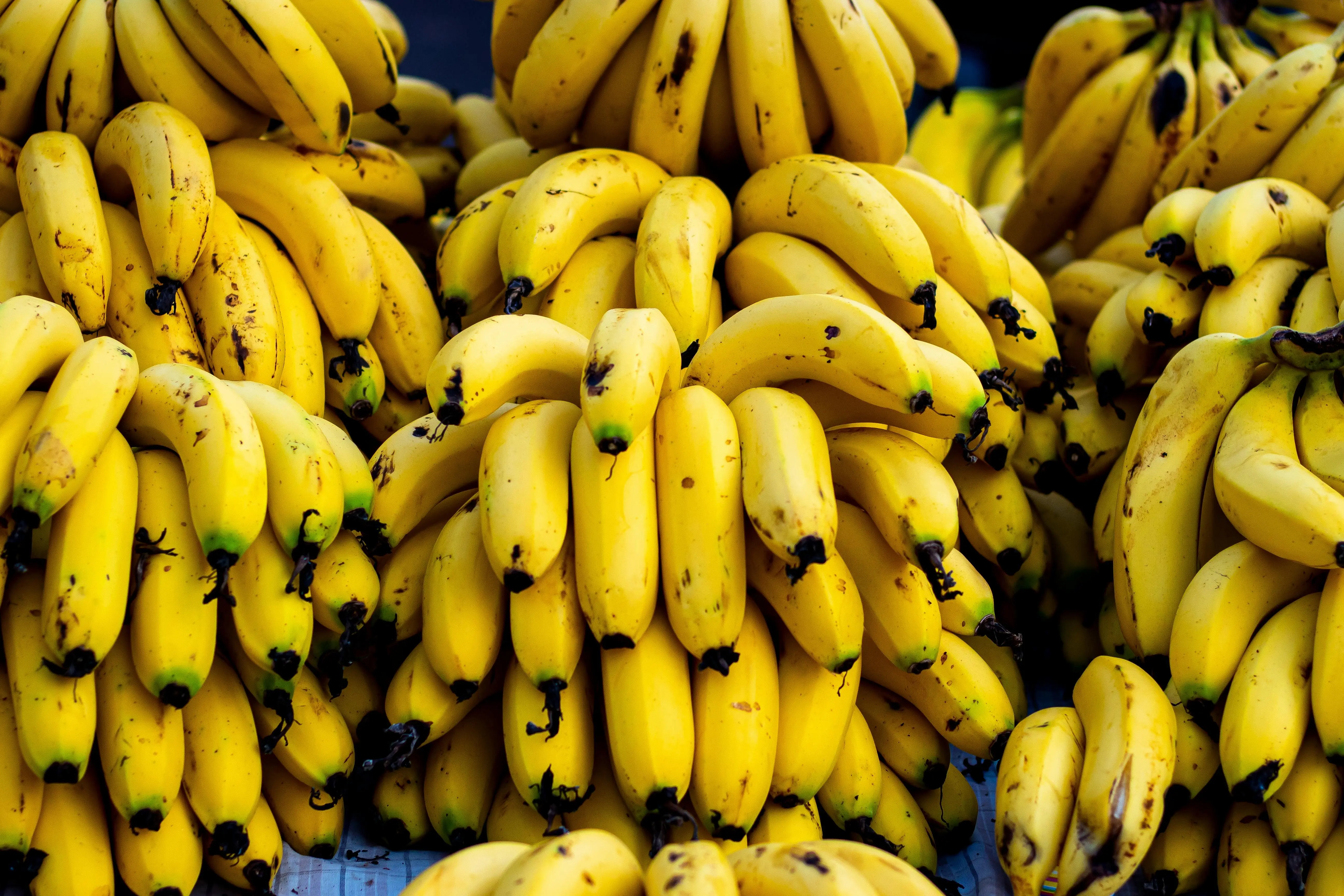 Mengupas Kadar Karbohidrat Pisang: Amankah Dikonsumsi Penderita Diabetes?
