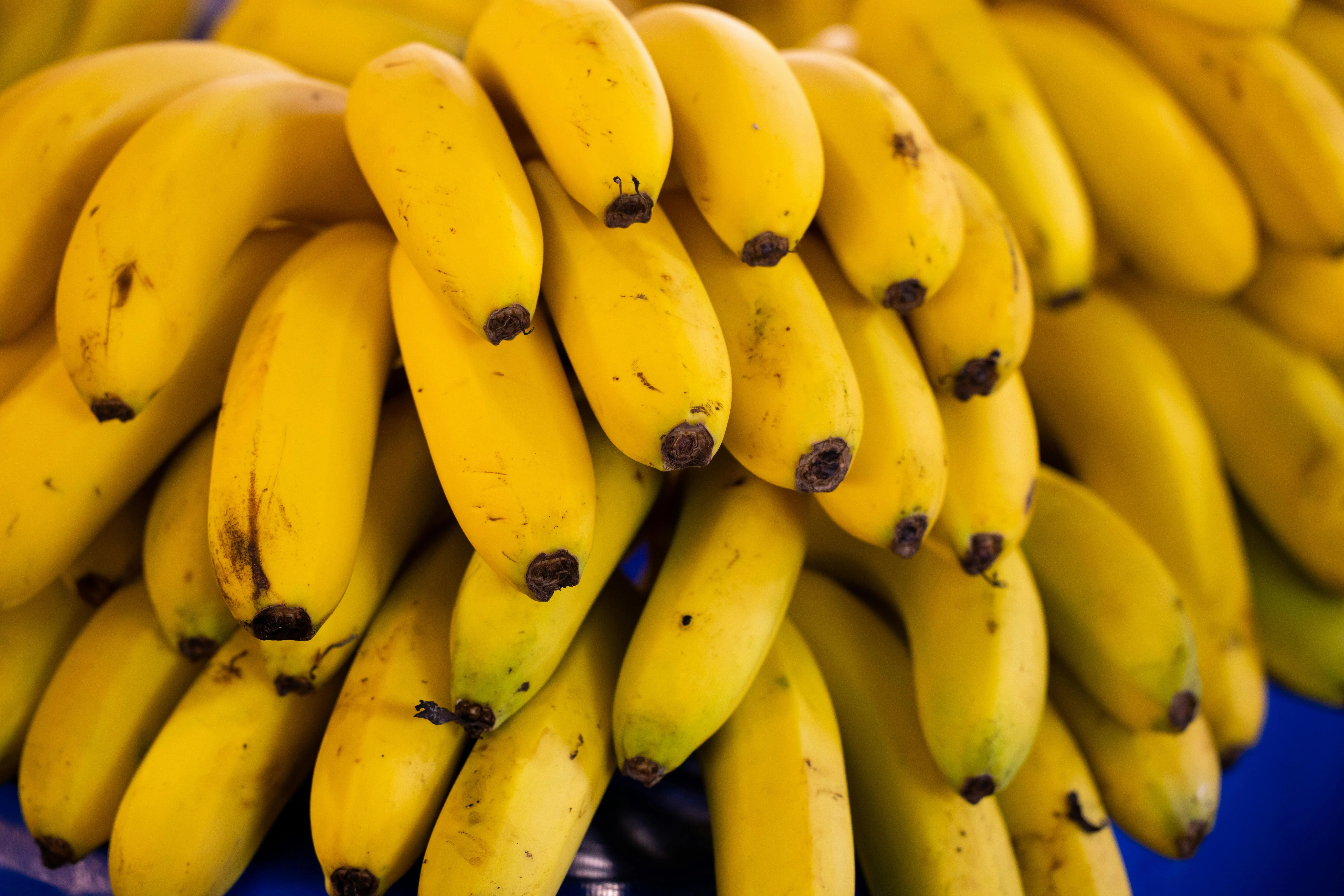 Atasi Kulit Kering dan Jerawat dengan Pisang: Menguak Kandungan Nutrisi Ajaibnya