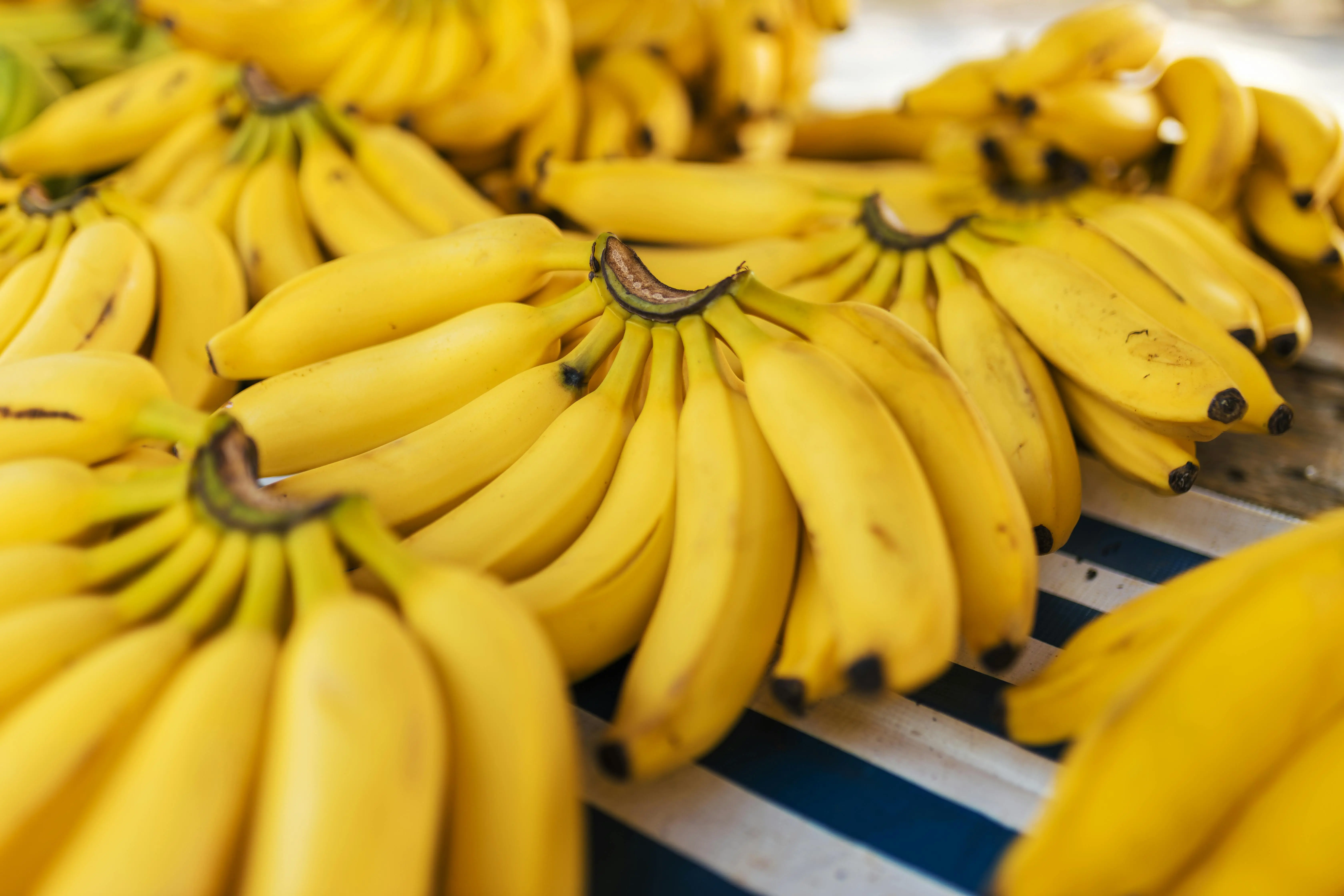 Pisang untuk Ibu Hamil: Mengapa Buah Tropis Ini Aman dan Kaya Manfaat Esensial