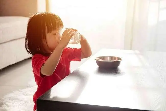 Menu Sarapan Sehat Anak Sekolah: Praktis, Bergizi, dan Bikin Semangat Belajar
