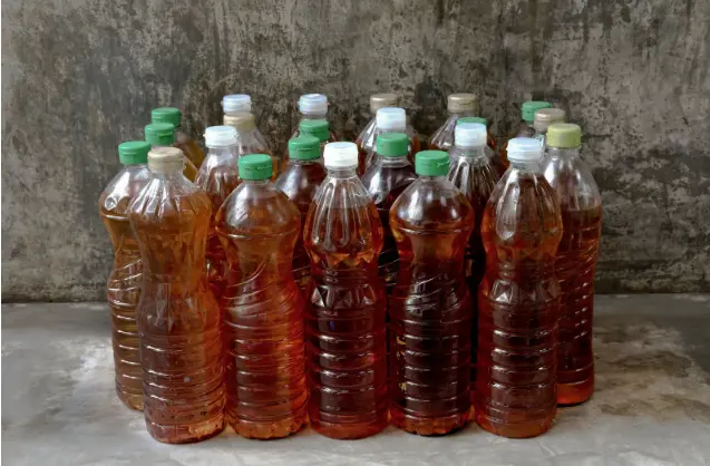 Jangan Dibuang! Ini Cara Aman Mengolah Minyak Jelantah agar Tak Cemari Lingkungan