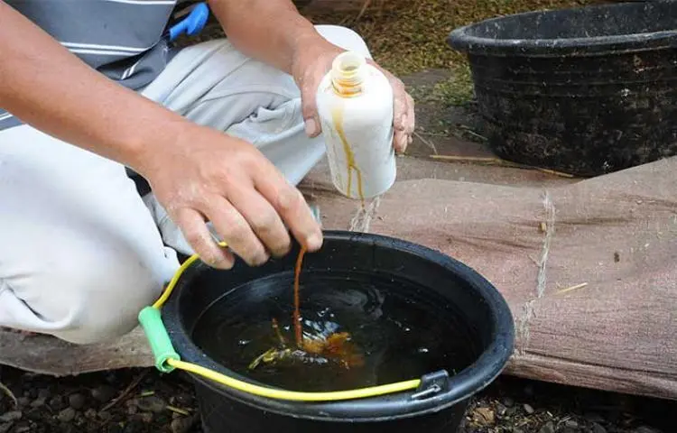 Ramah Lingkungan dan Murah! Begini Proses Bikin Pupuk Cair dari Limbah Dapur