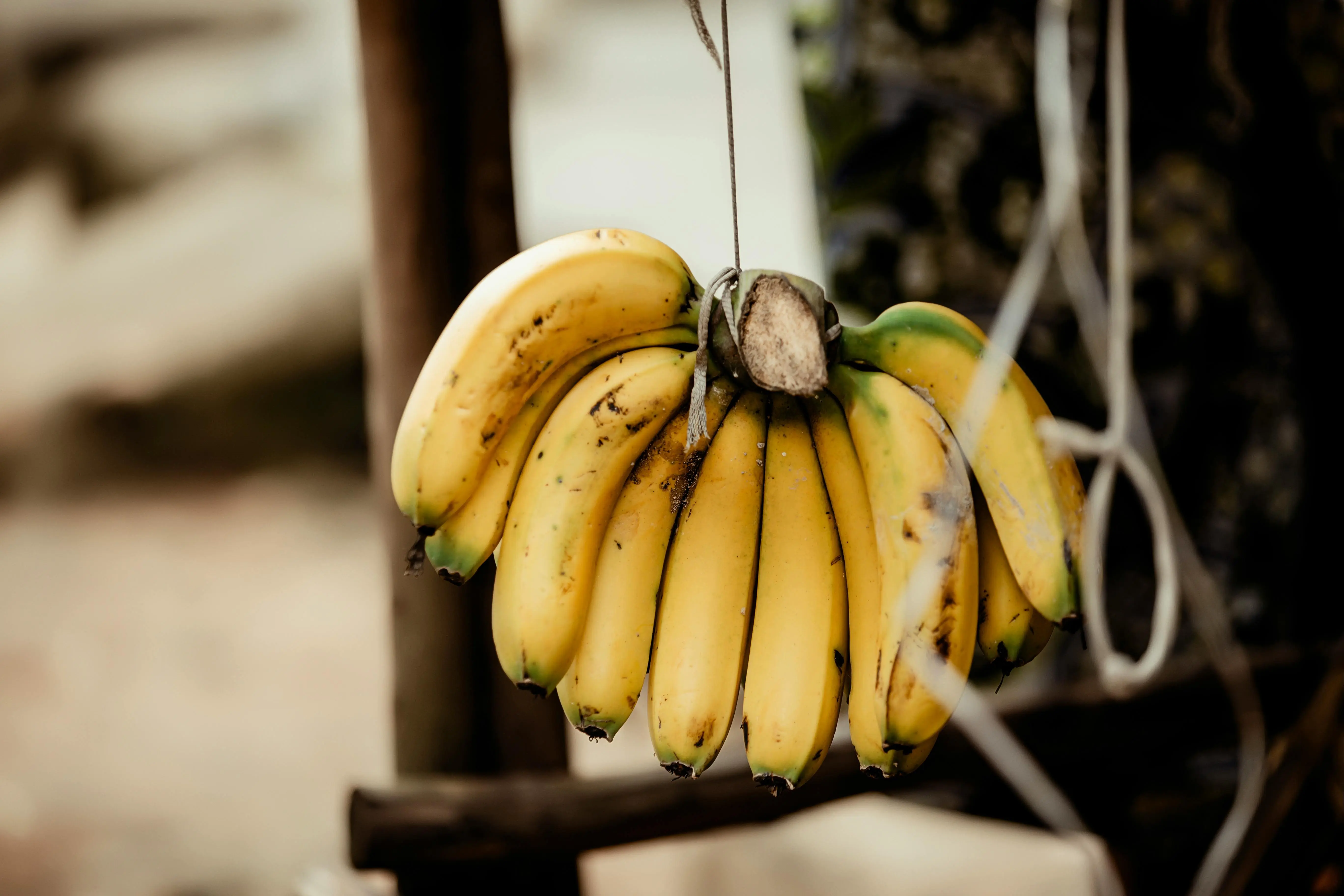 Dari Asia Tenggara Menyebar Global: Kisah Epik Buah Pisang yang Jarang Diketahui