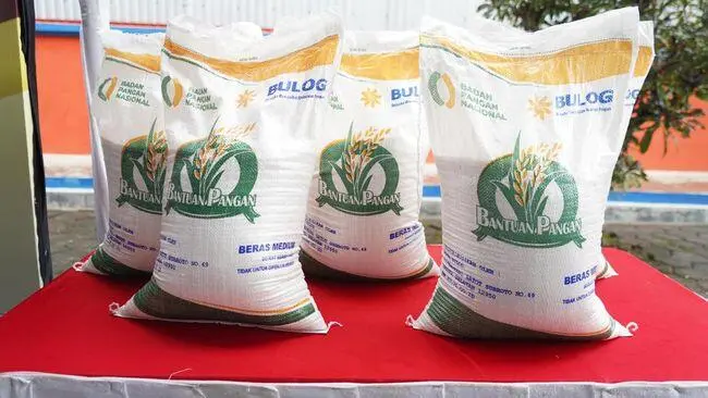 Bapanas Tegaskan Perputaran Stok Enam Bulan Jadi Kunci Kualitas Beras Nasional