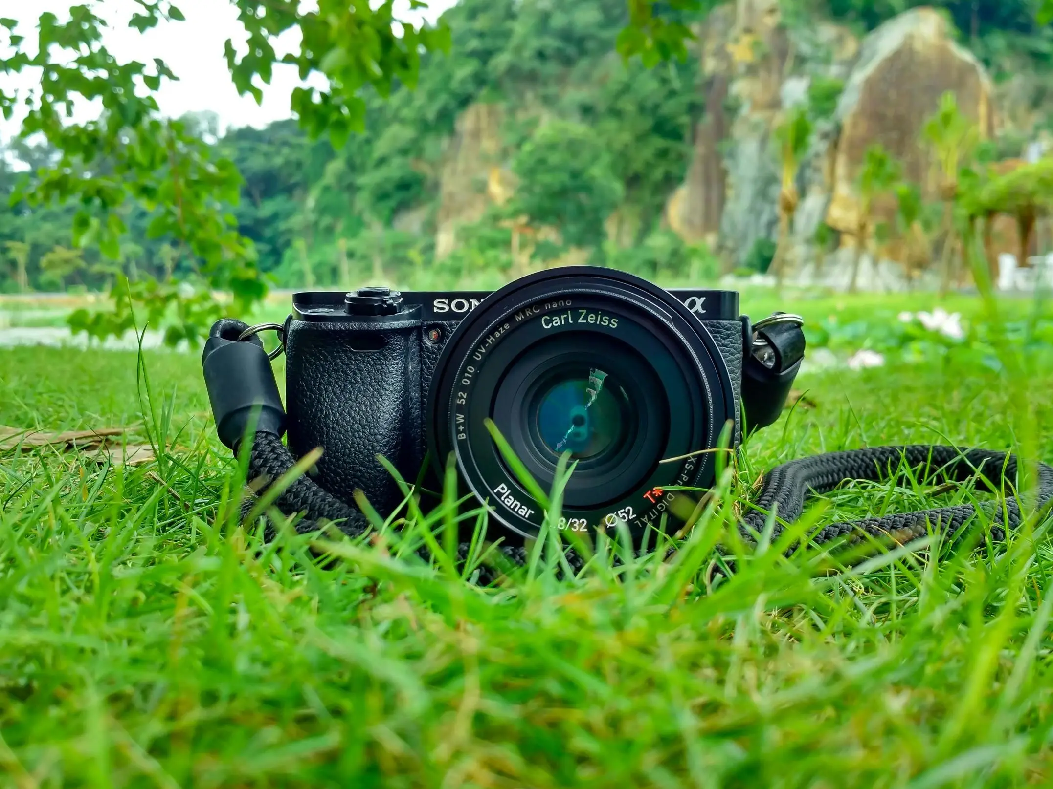 Checklist Wajib: Panduan Memilih Kamera Mirrorless Terbaik untuk Content Creator Pemula