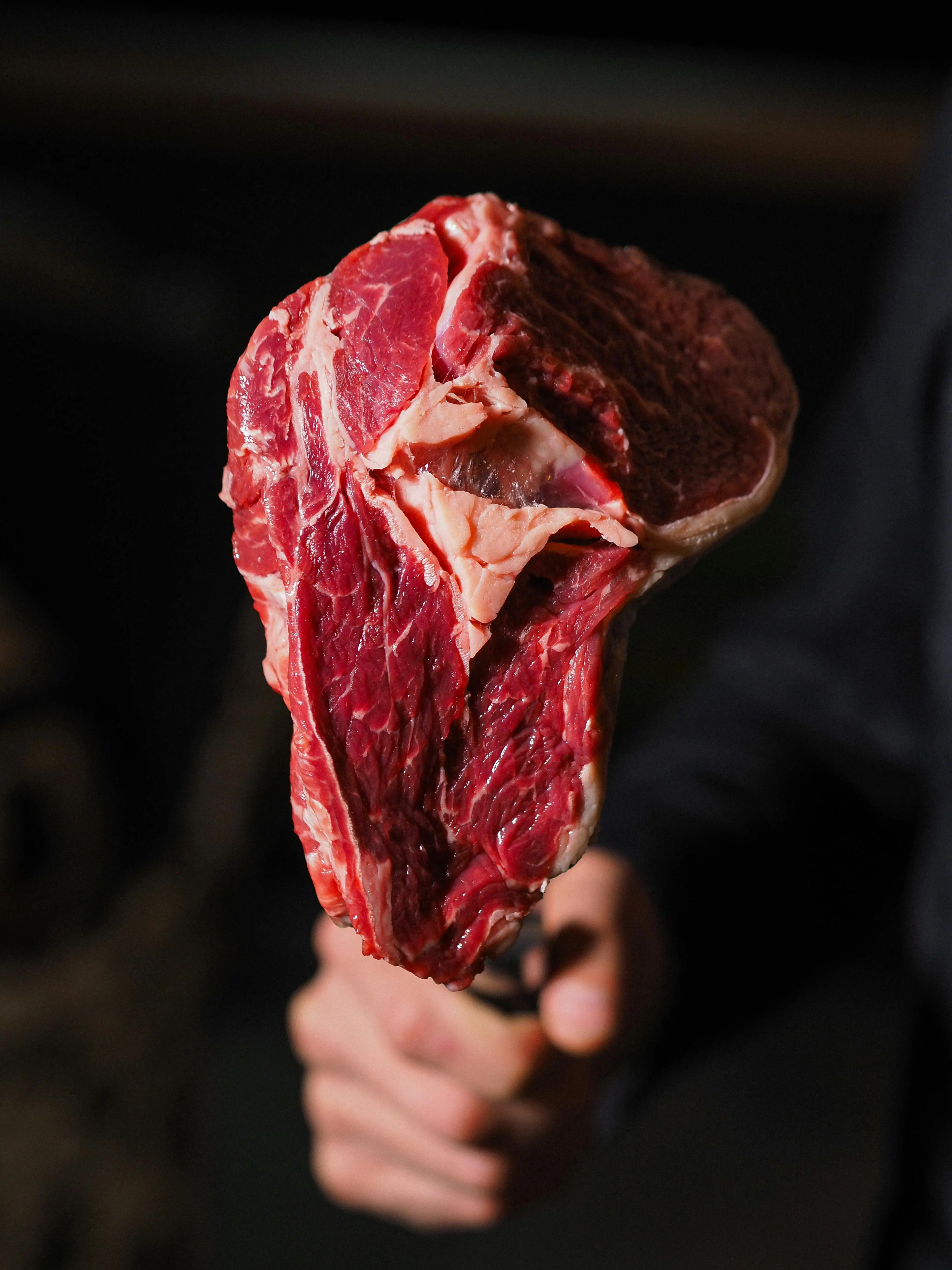 Menguak Tabir: Sejarah Konsumsi Daging Sapi di Asia Tenggara, Bukan Sekadar Pangan Biasa