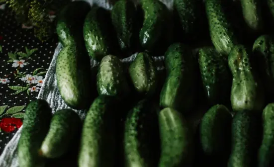 Dijamin Nagih! Berikut Ini Cara Membuat Cucumbers Pickle