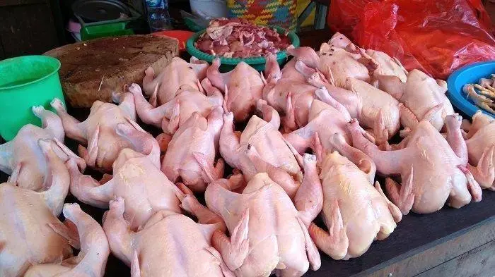 Harga Daging Ayam dan Sapi Nasional Stabil di Awal November 2025