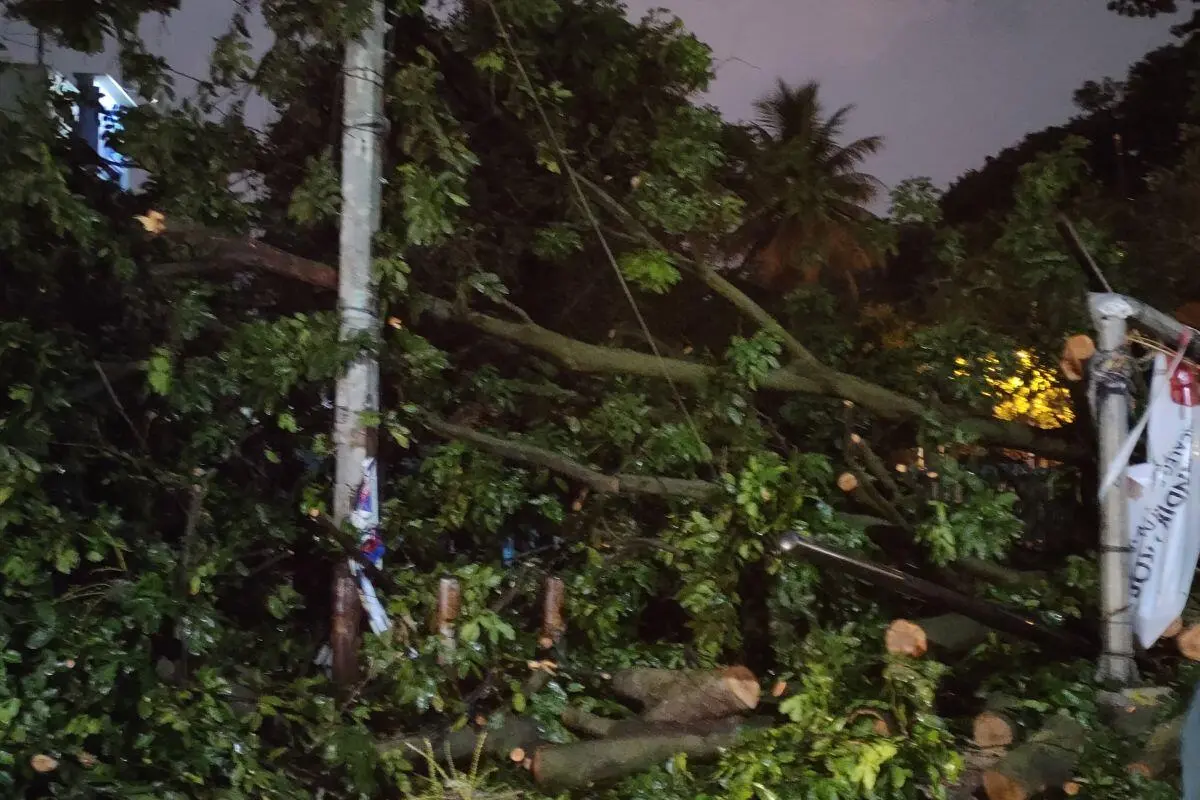 Cuaca Ekstrem Terjang Cianjur, Jalan Nasional Lumpuh dan Belasan Rumah Rusak Diterjang Angin Kencang