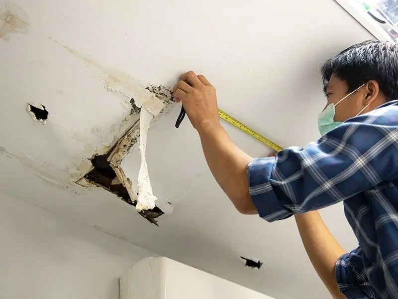 Tips Efektif Memperbaiki Atap Bocor Saat Musim Hujan Tanpa Renovasi