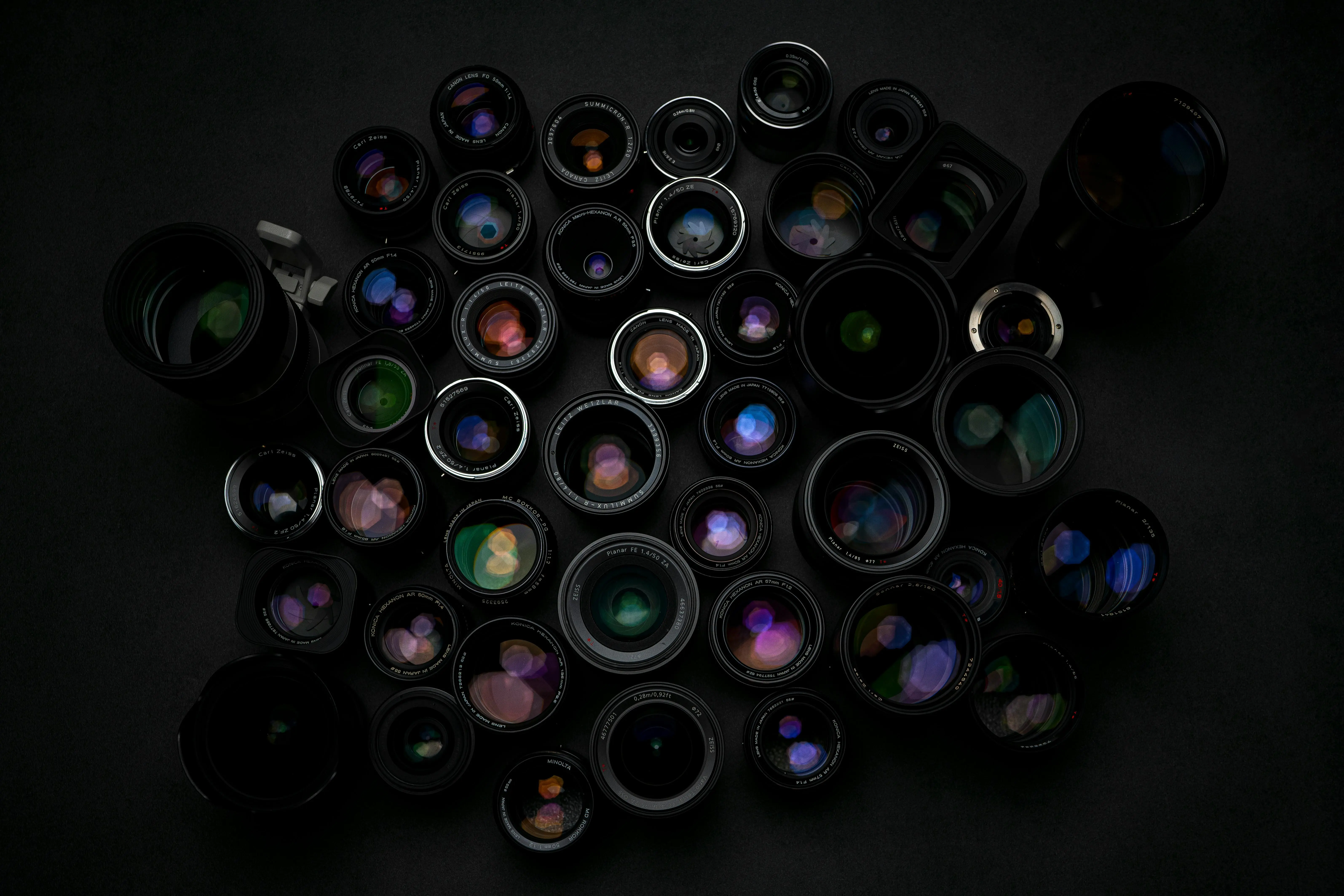 Rahasia Foto Makro Super Detail: Panduan Memilih Lensa dan Menguasai Ring Flash