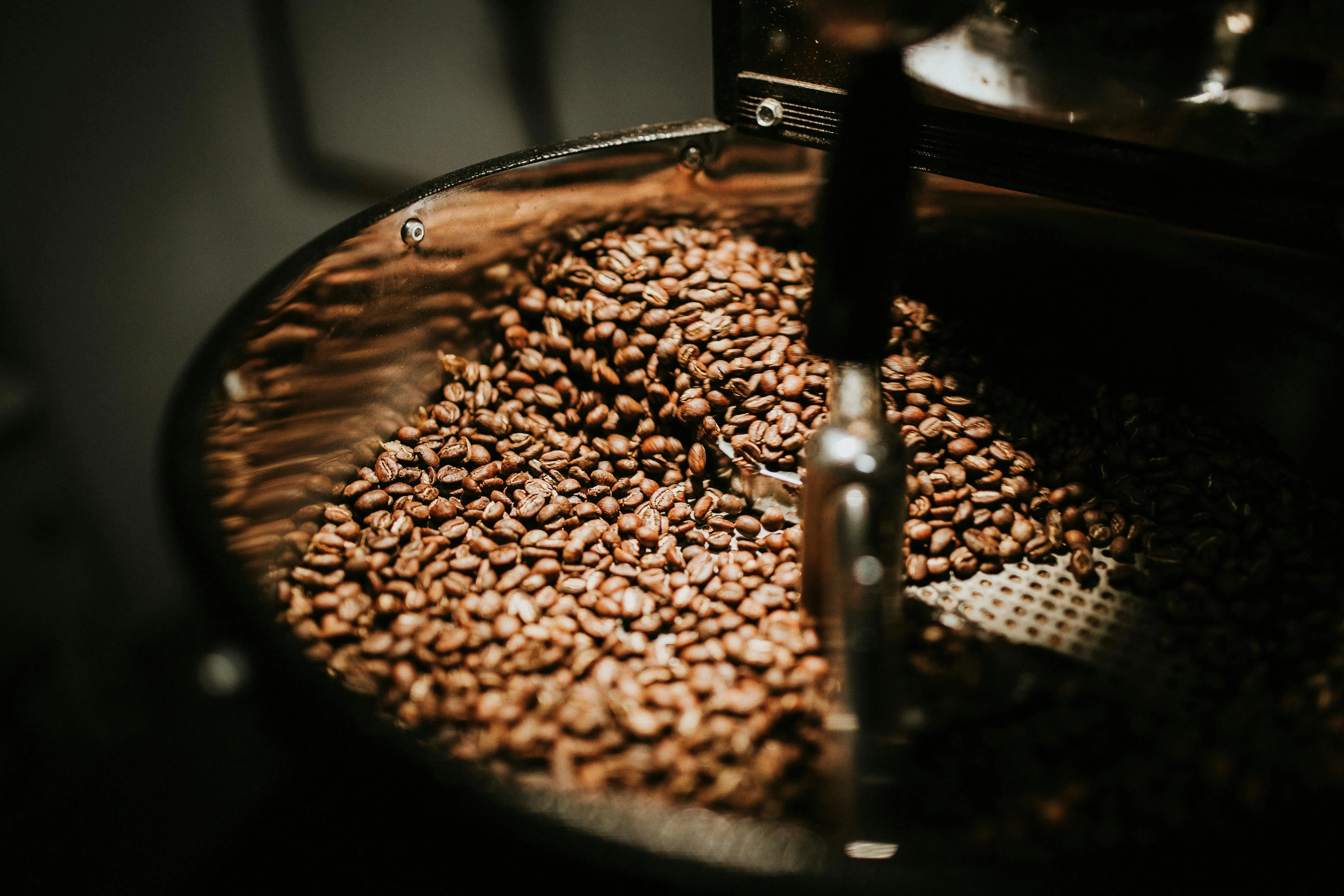 Daftar 10 Negara Penghasil Kopi Terbanyak di Dunia, Brasil Kokoh di Puncak, Indonesia Mengejar!