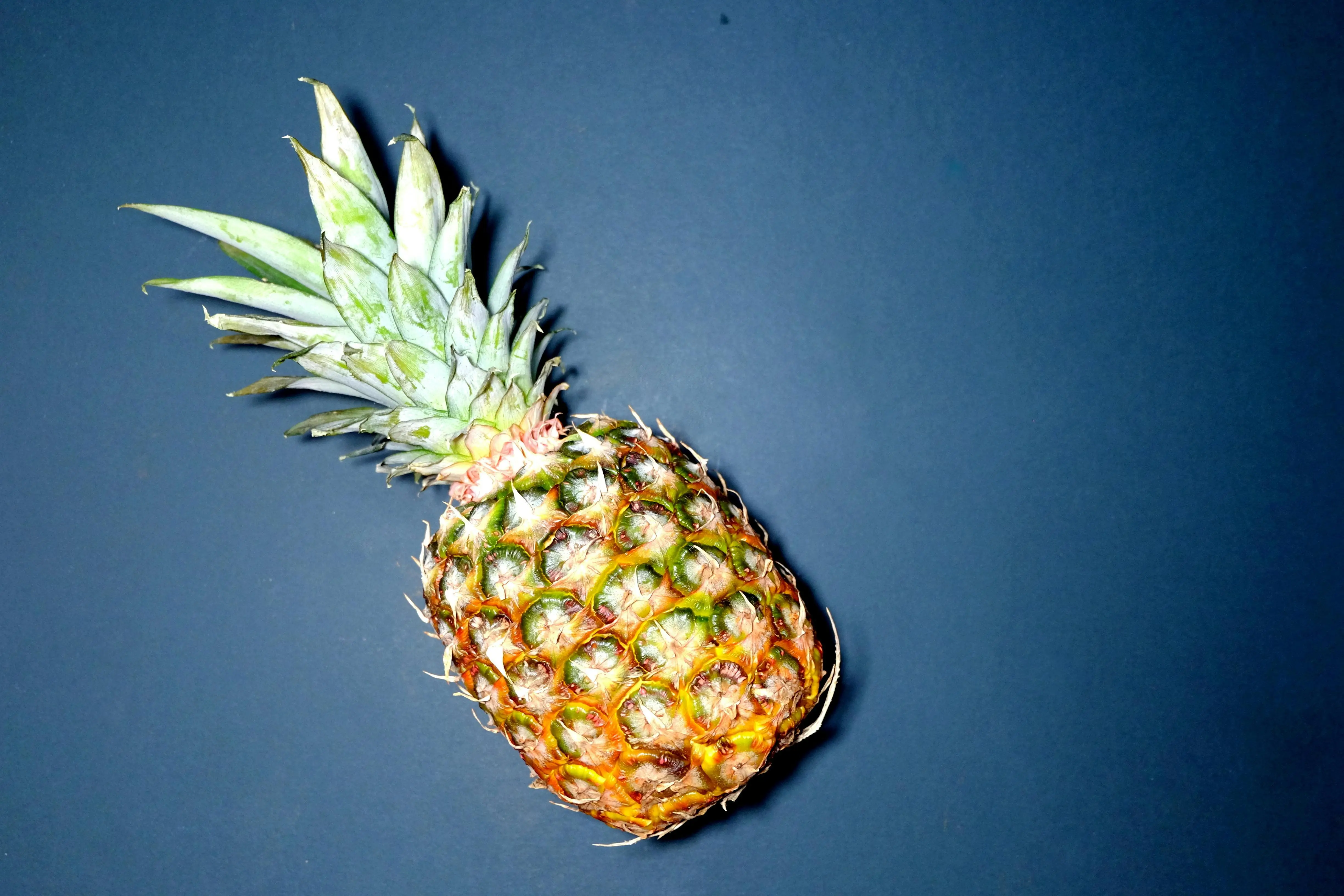 Sensasi Gatal di Mulut Setelah Makan Nanas: Alergi Makanan atau Efek Enzim Bromelain? Ini Penjelasanya