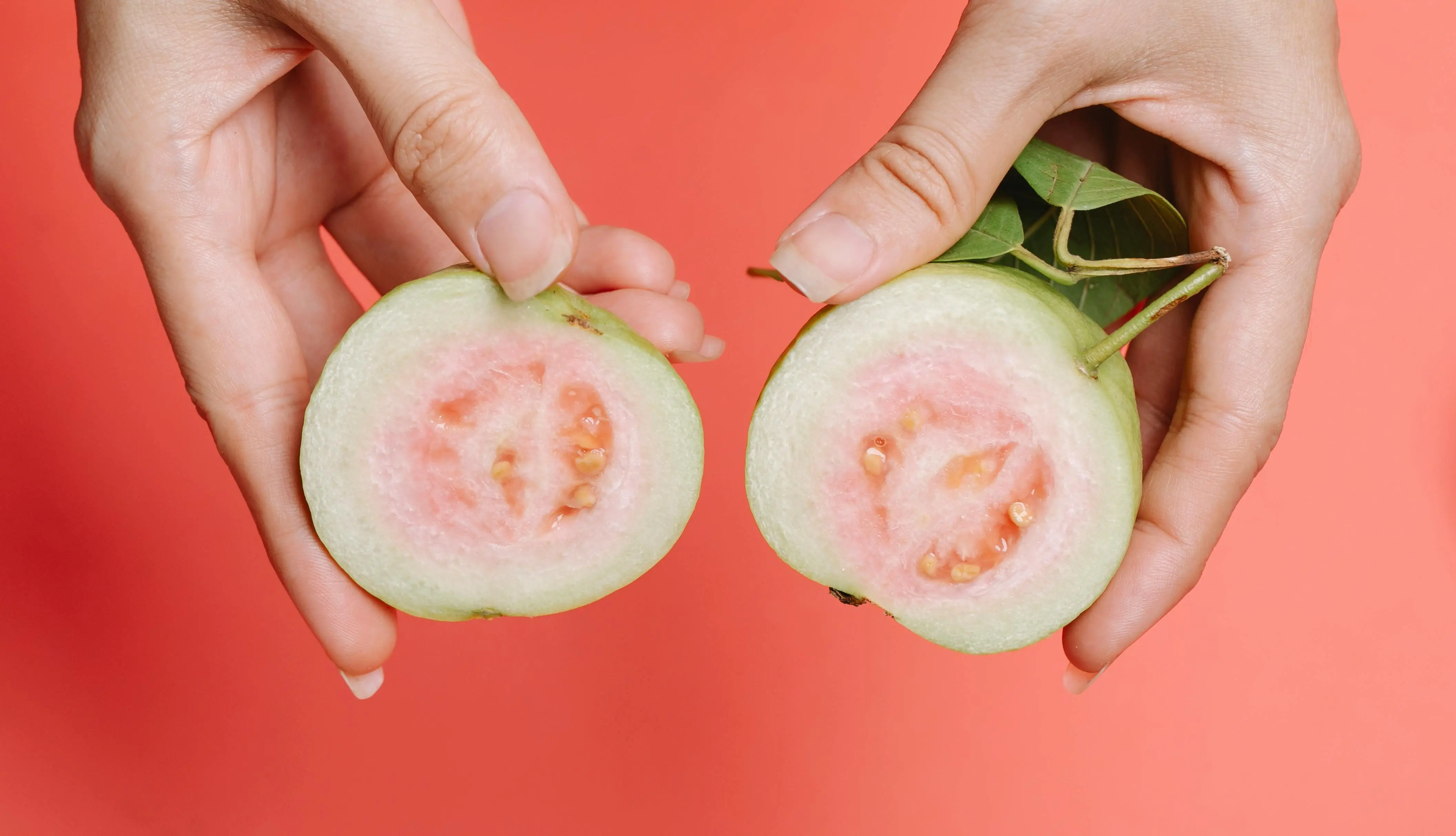 Kekuatan Antioksidan Jambu: Kunci untuk Membantu Melindungi Sel Hati dari Kerusakan Oksidatif