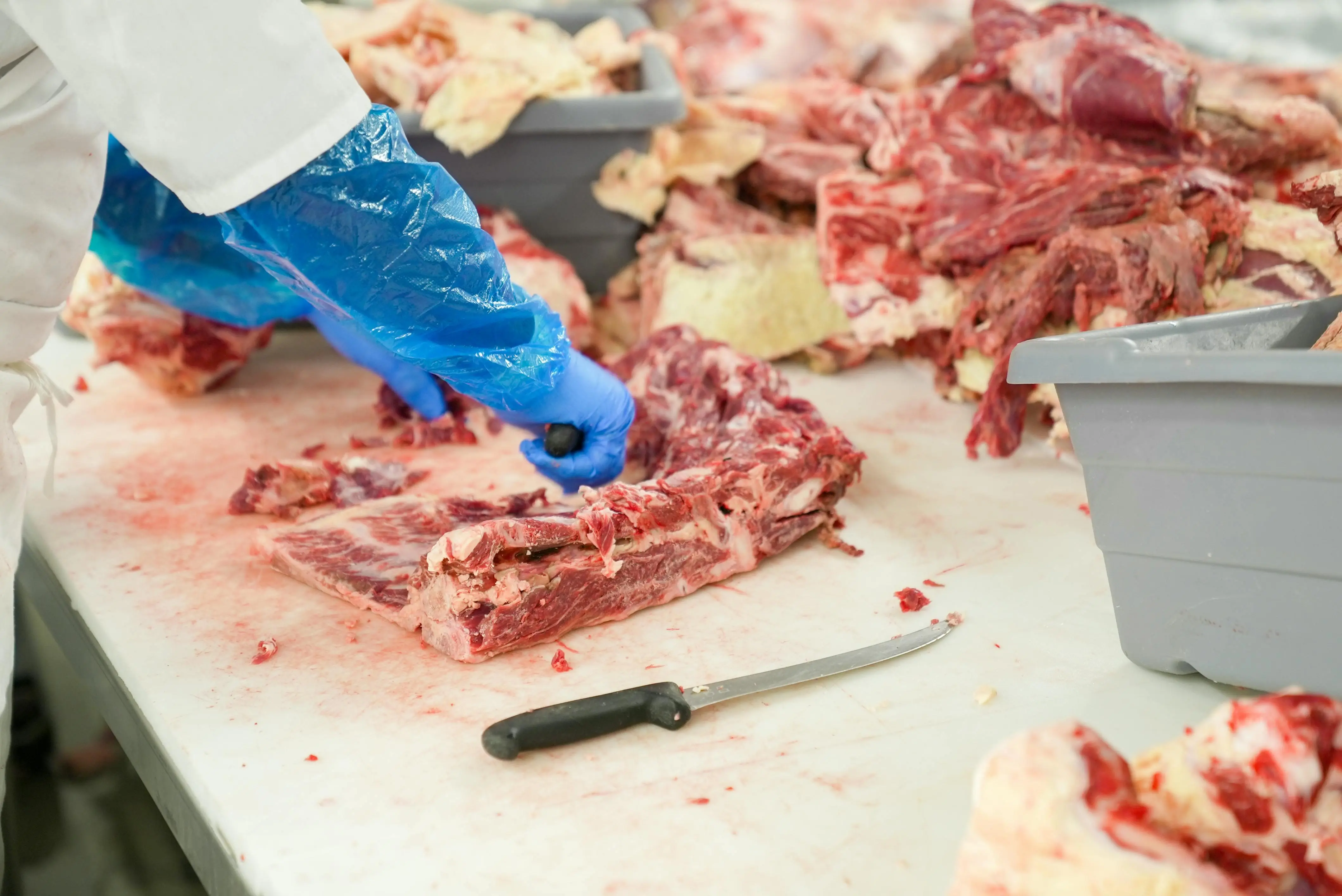 Panduan Memilih Potongan Daging Sapi Terbaik untuk Berbagai Olahan