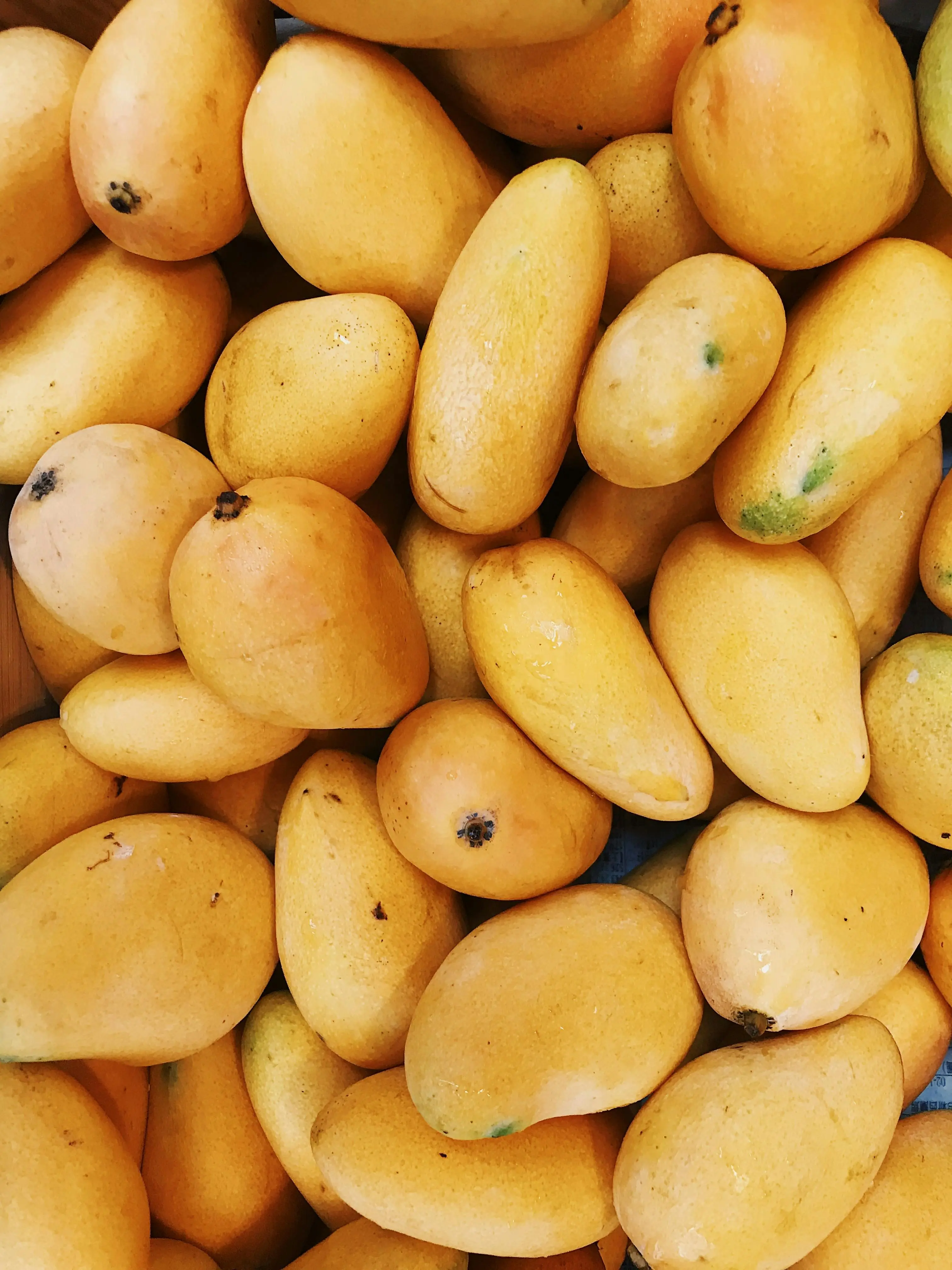Manfaat Mangga dalam Menjaga Kesehatan Jantung