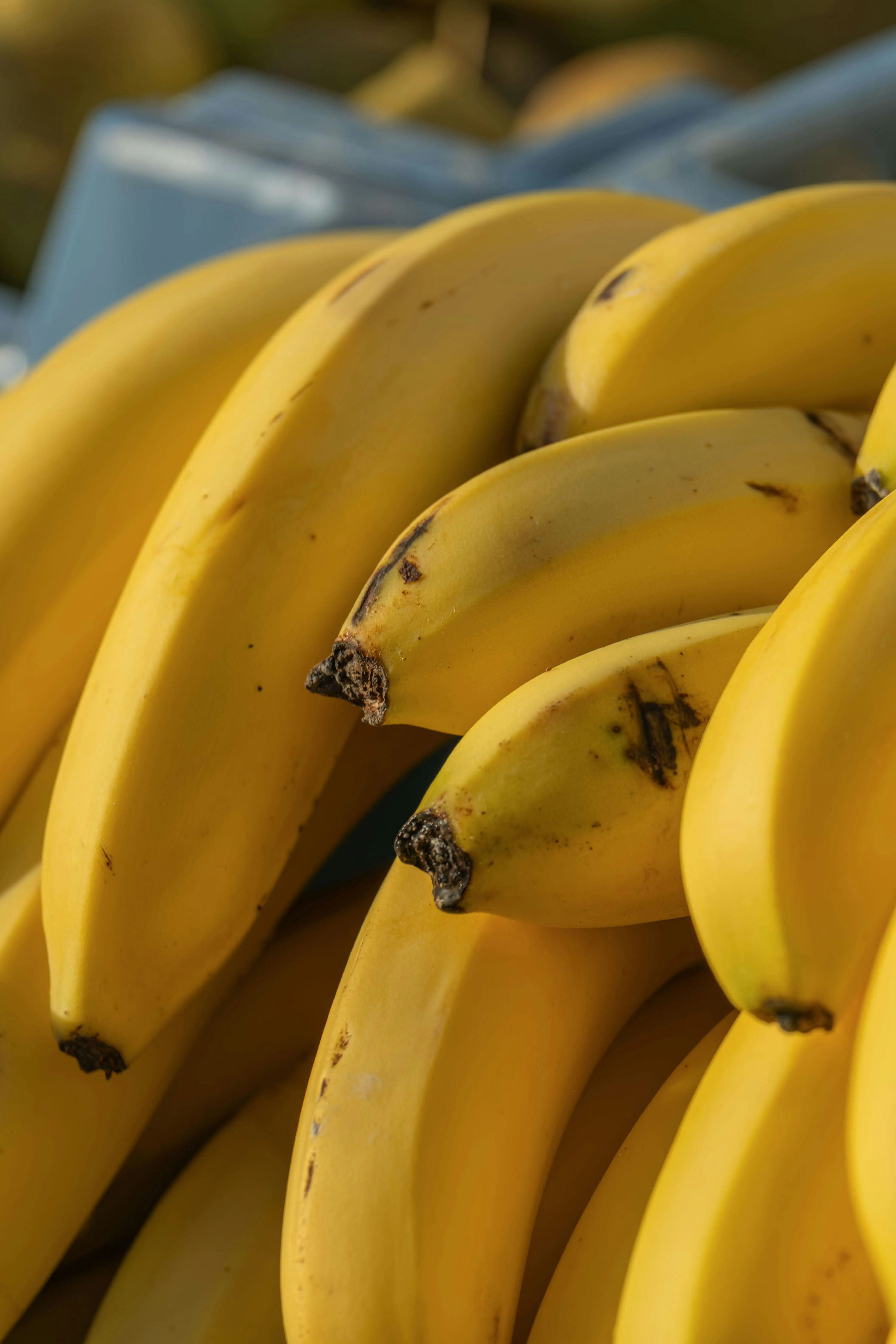 Pisang: Solusi Pemanis Alami Pengganti Gula Halus yang Sehat dan Bernutrisi