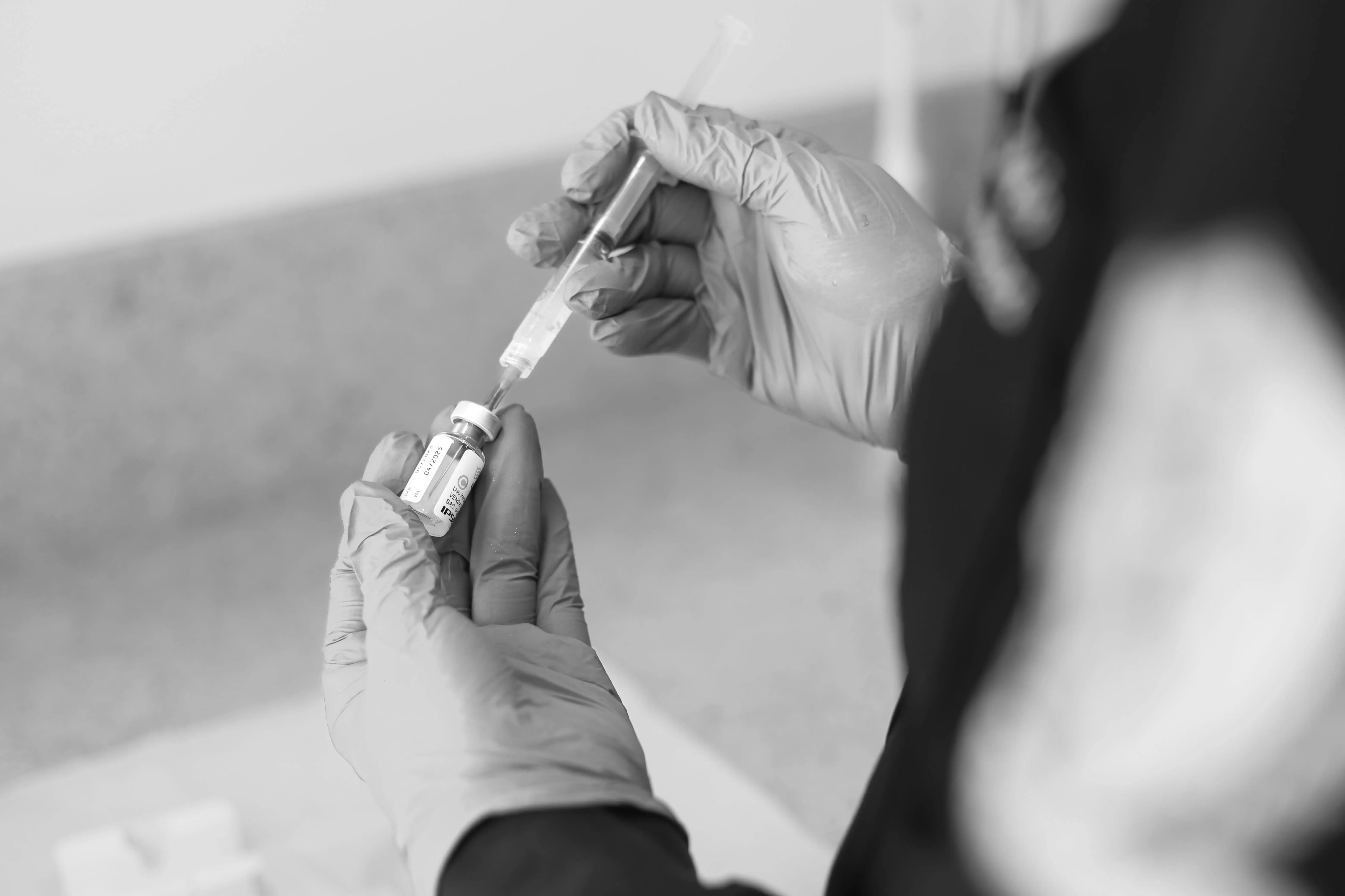 Lindungi Kelinci Kesayangan Anda: Mengapa Vaksinasi RHDV dan Miksomatosis Adalah Kebutuhan Mutlak yang Harus Dilakukan