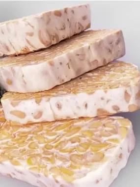 Peran Krusial Rhizopus Oligosporus dalam Fermentasi Kedelai: Kunci Tekstur Kompak dan Peningkatan Nutrisi Tempe