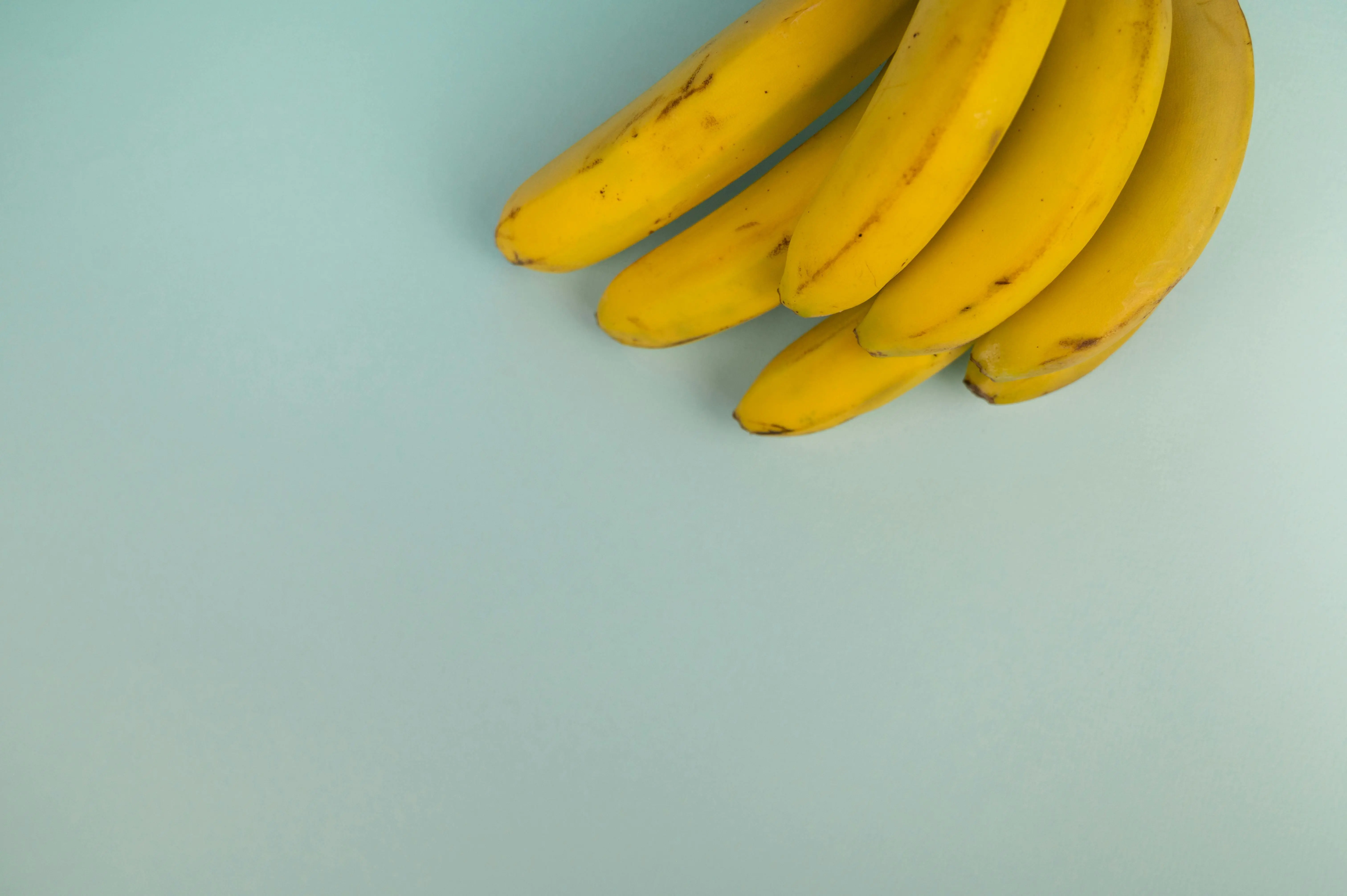Rahasia Kesehatan Usus yang Optimal: Menelisik Manfaat Prebiotik Dalam Pisang