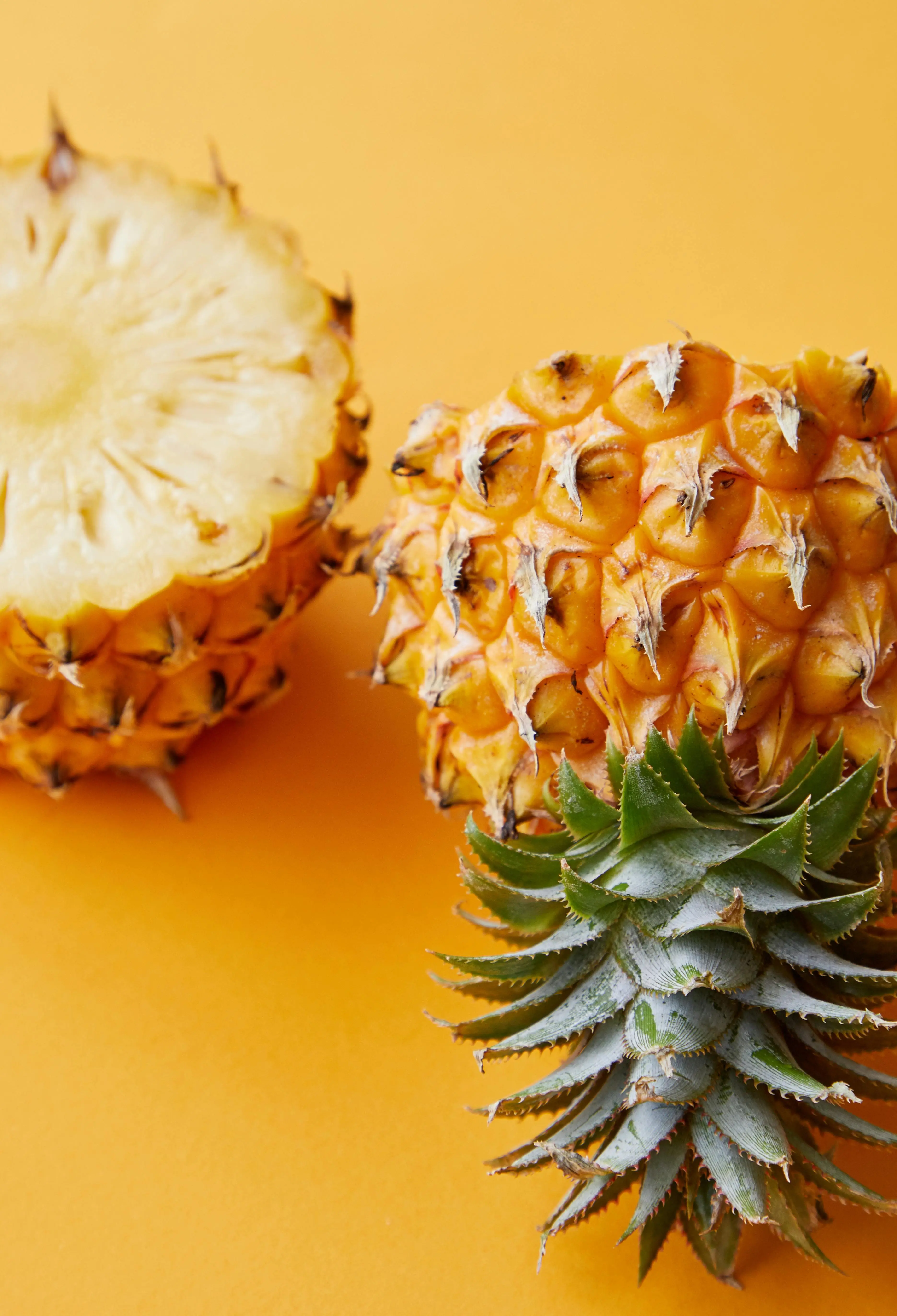 Fakta Menarik Tentang Asal Usul Nanas di Dunia Tropis