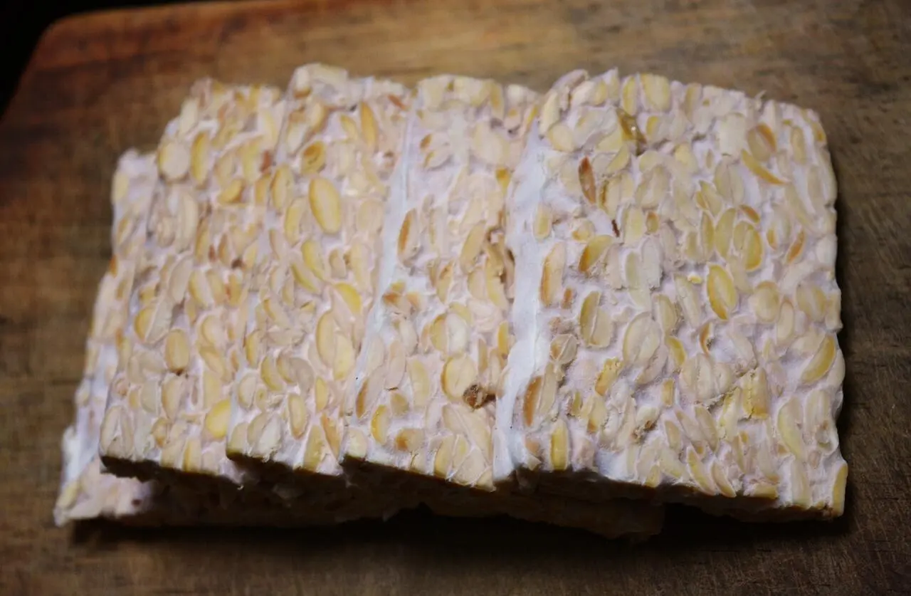 Proses Fermentasi Tempe: Dari Kedelai Hingga Produk Jadi