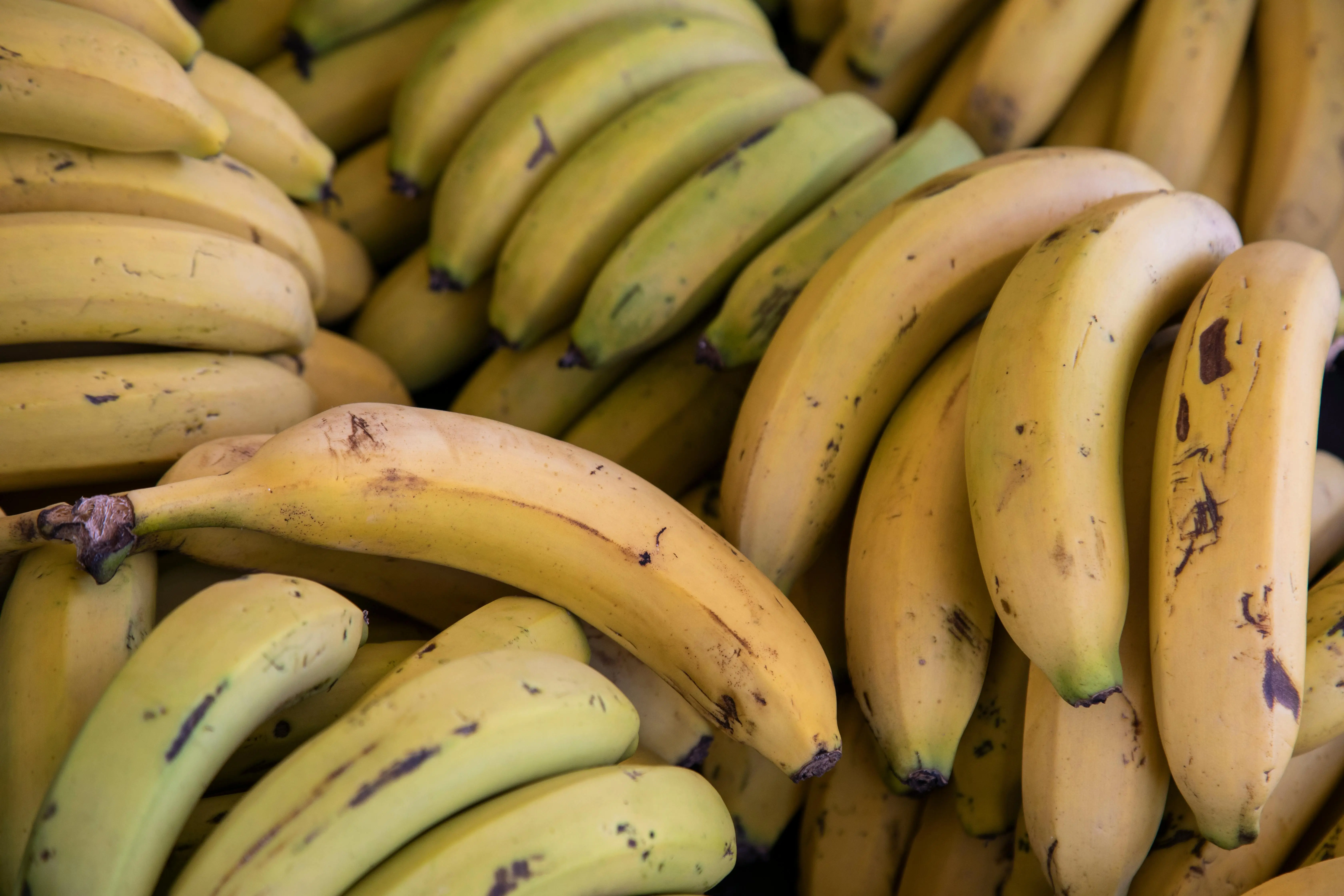 Rahasia Kenyang Lebih Lama: Mengapa Pisang Wajib Ada dalam Diet Harian Anda?