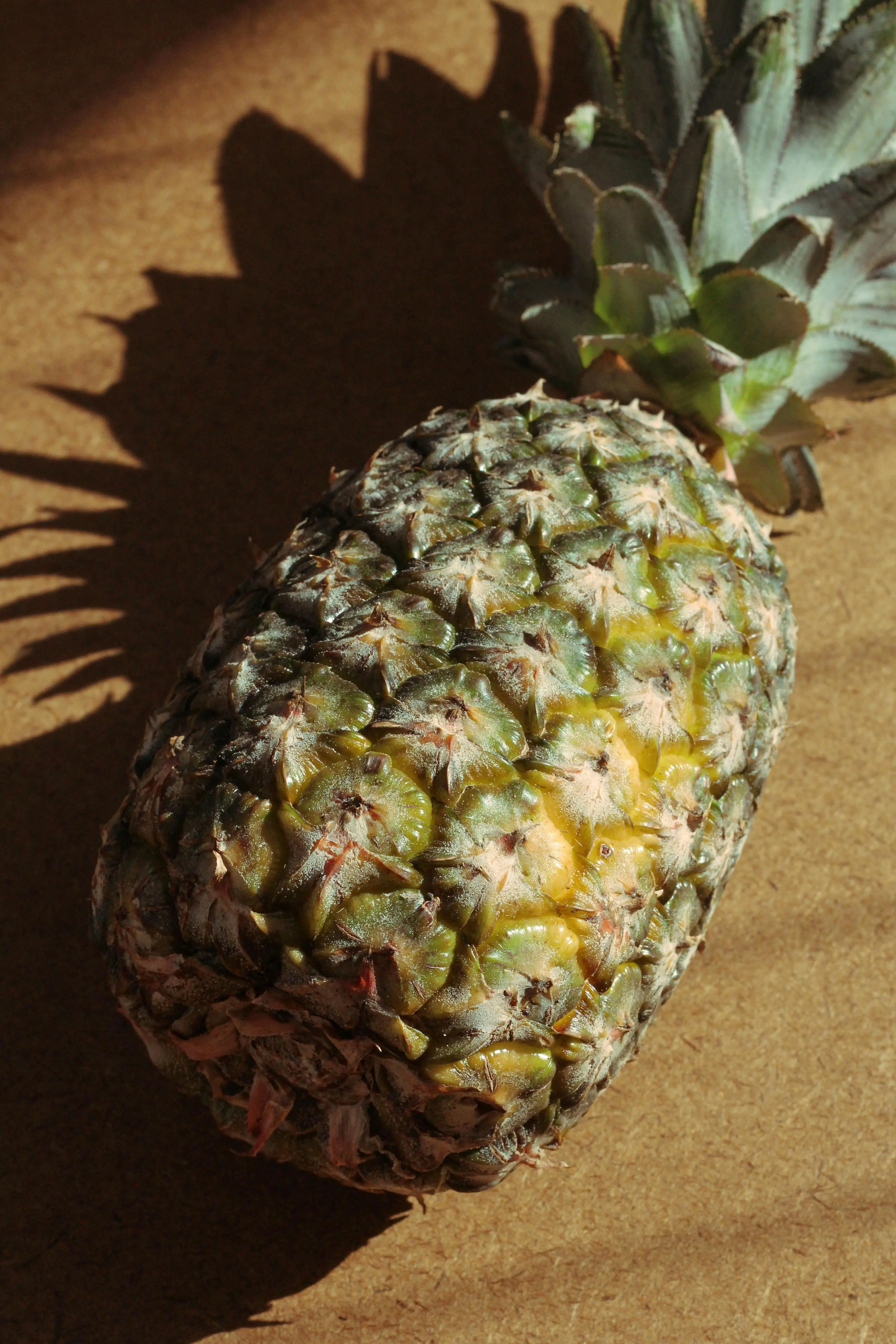 Melampaui Rasa Manis: Menguak Kekuatan Enzim Bromelain Nanas Sebagai Anti Inflamasi Alami