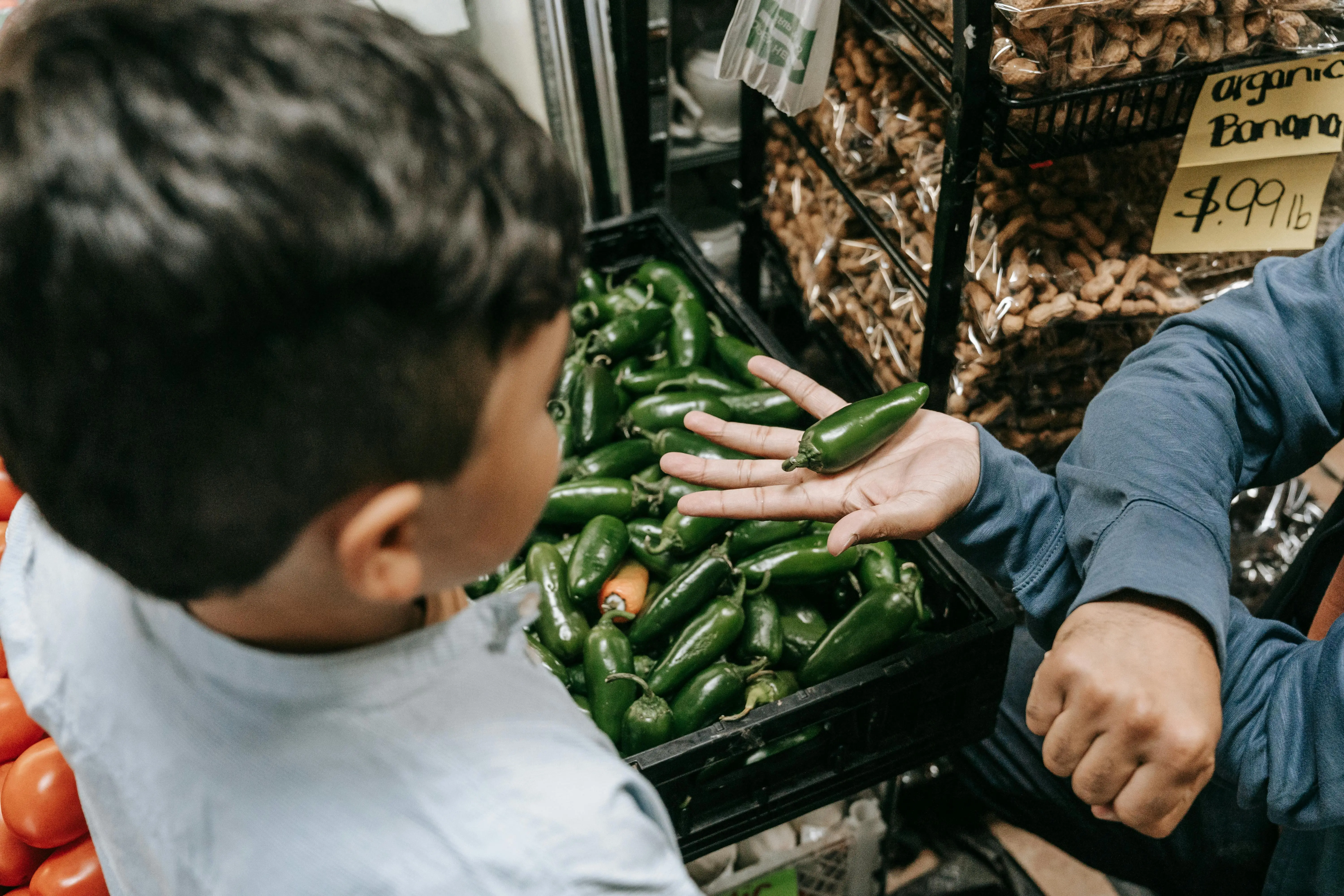Dari Lembah Veracruz ke Menu Global: Mengulas Sejarah Pedas Jalapeno yang Mengguncang Dunia KulinerDari Lembah Veracruz ke Menu Global: Mengulas Sejarah Pedas Jalapeno yang Mengguncang Dunia KulinerDari Lembah Veracruz ke Menu Global: Mengulas Sejarah Ped