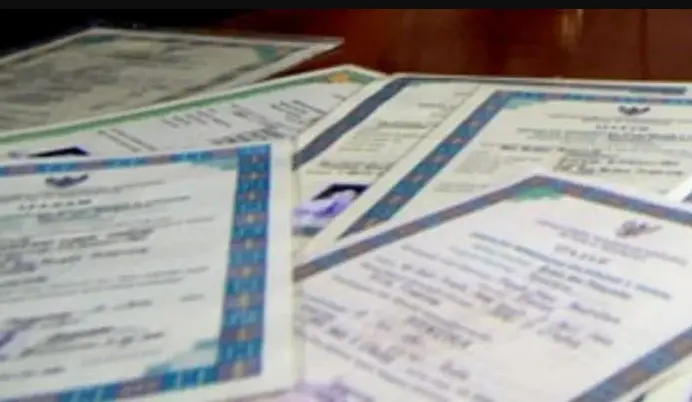 Panduan Lengkap Cara Mengajukan Perbaikan e-Ijazah 2025 Secara Online