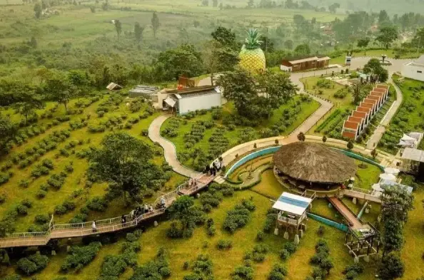 Tempat Wisata Tersembunyi di Subang, dari Bukit Pamoyanan hingga Curug Cileat.