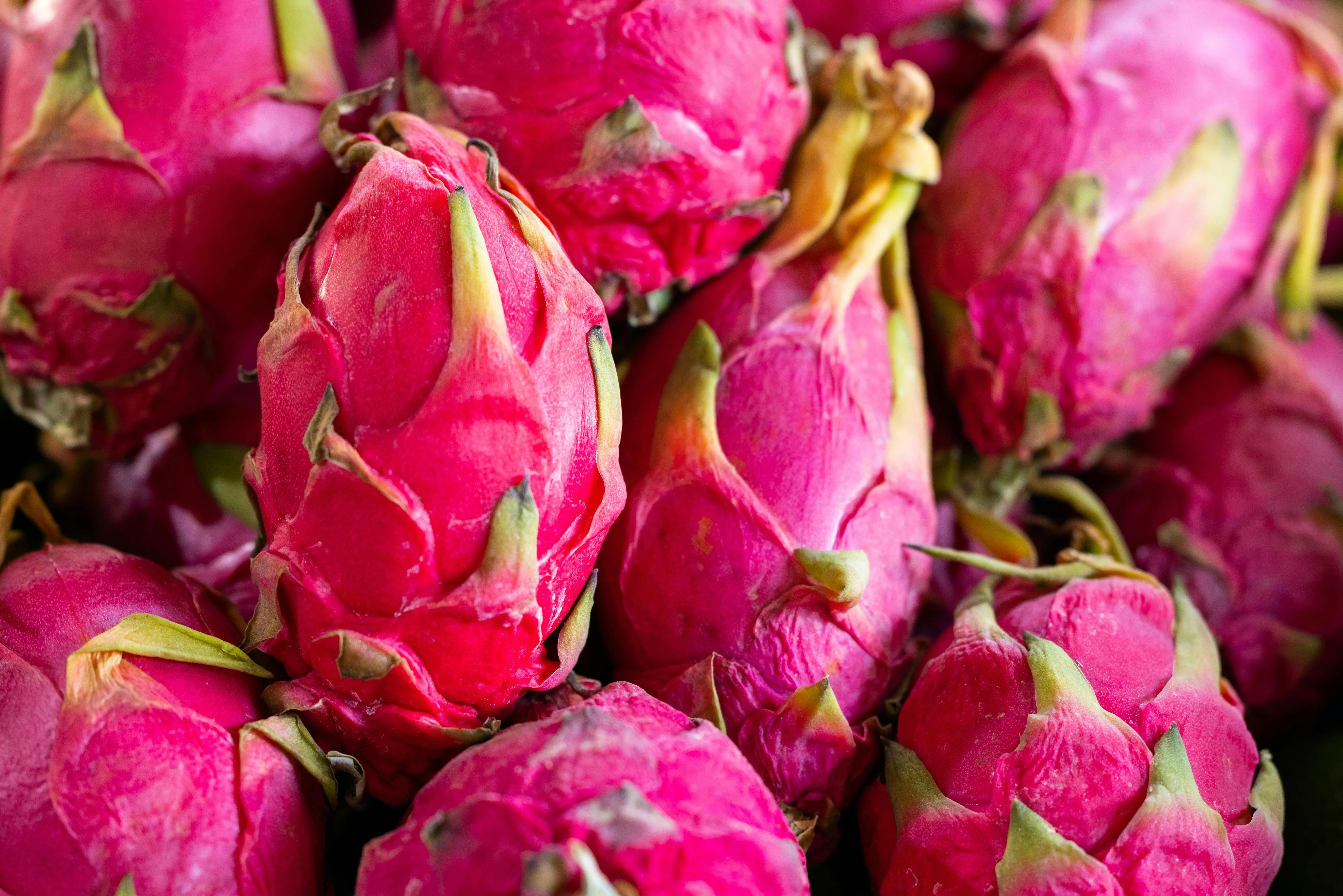 Efek Konsumsi Buah Naga Terhadap Sistem Imun
