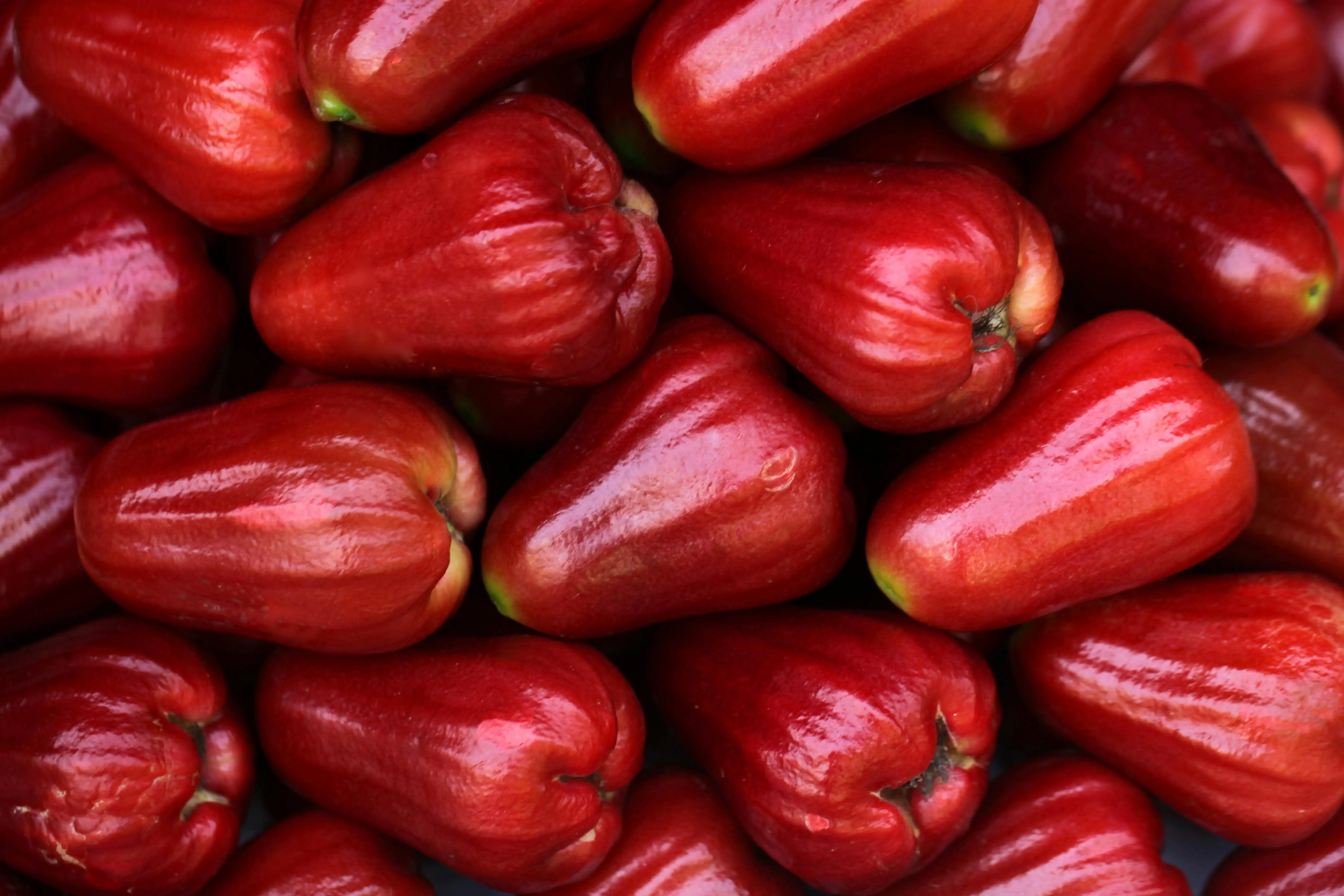Mengupas Tuntas Peran Jambu Air dalam Memperkuat Sistem Imun: Lebih dari Sekadar Buah Penghilang Dahaga