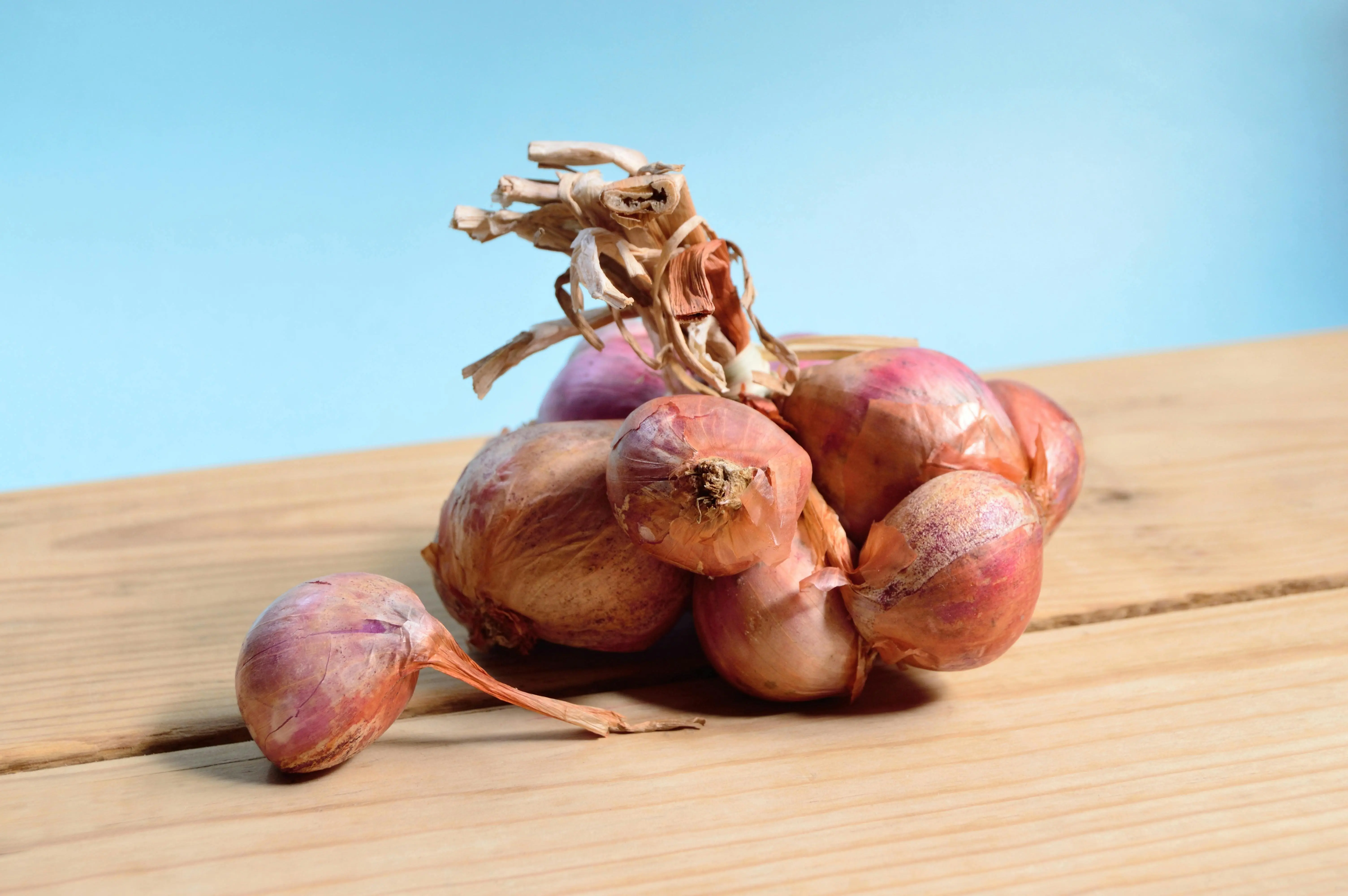 Bawang Merah sebagai Pengawet Makanan Alami: Solusi Aman dan Efektif