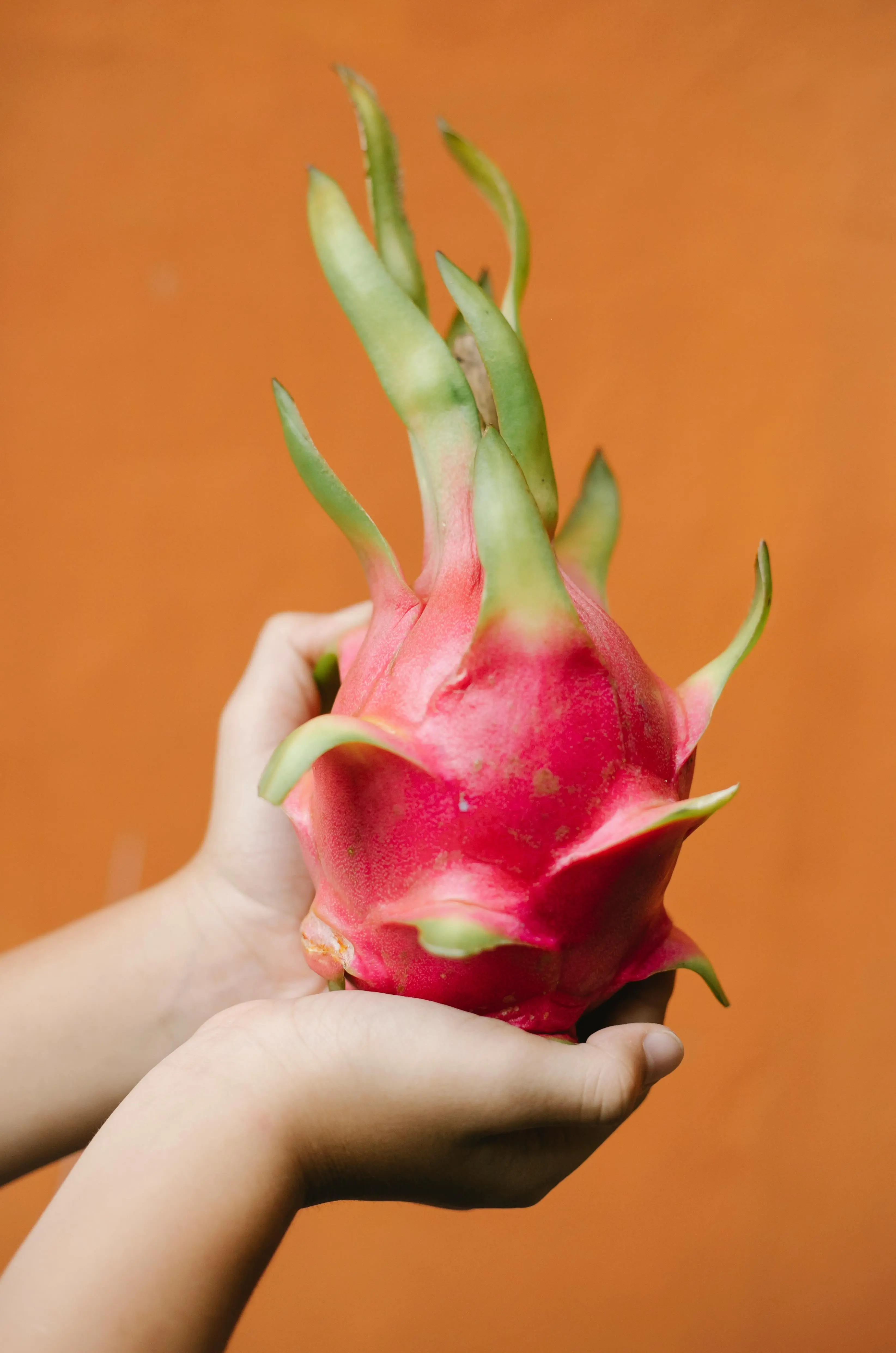 Manfaat Buah Naga untuk Membantu Menjaga Kesehatan Kulit