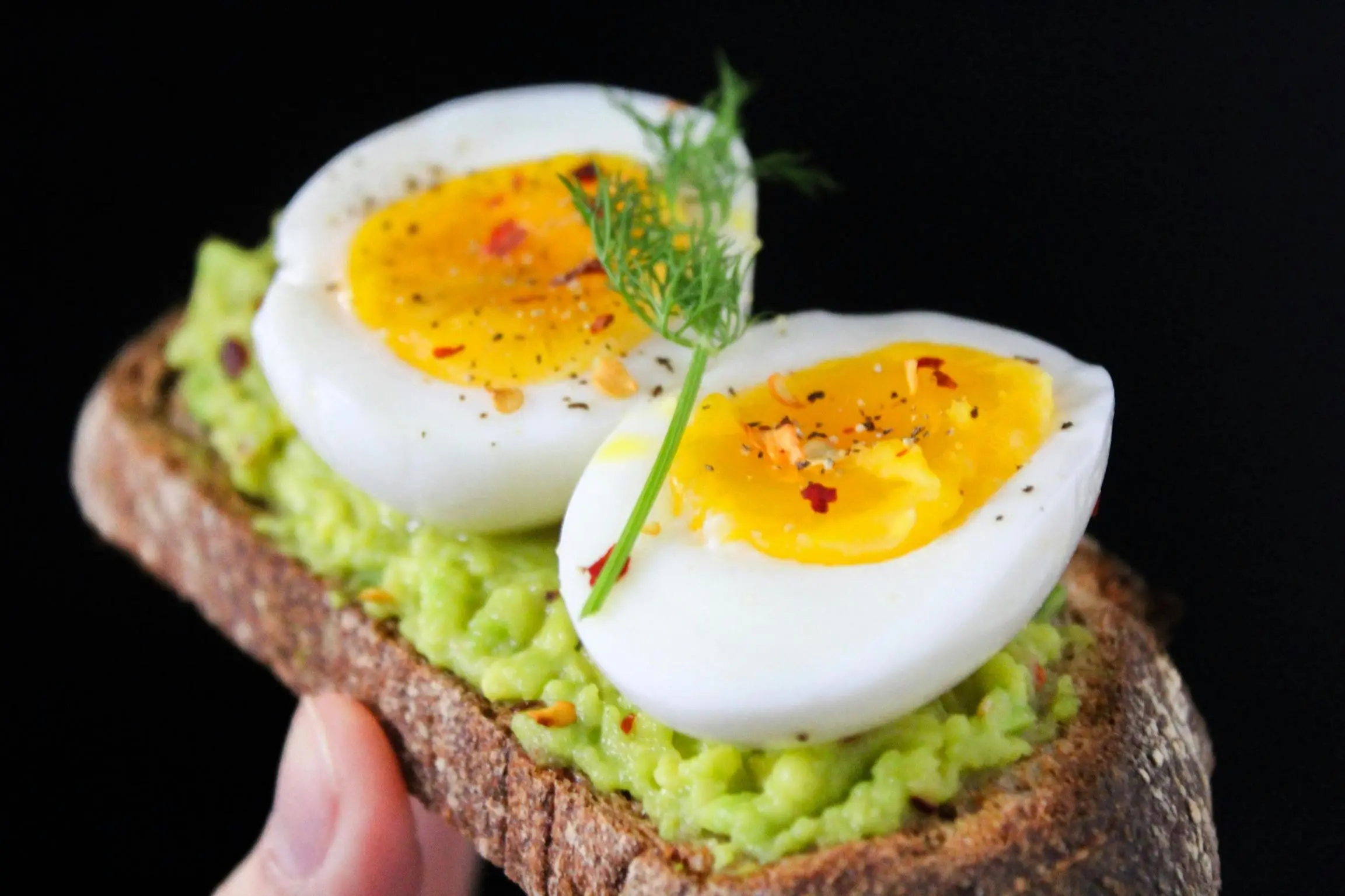 Telur Sebagai Sumber Protein untuk Sarapan yang Sempurna