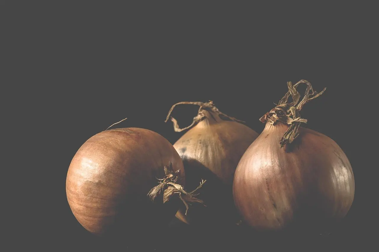 Hubungan Bawang Bombai untuk Kesehatan Tulang