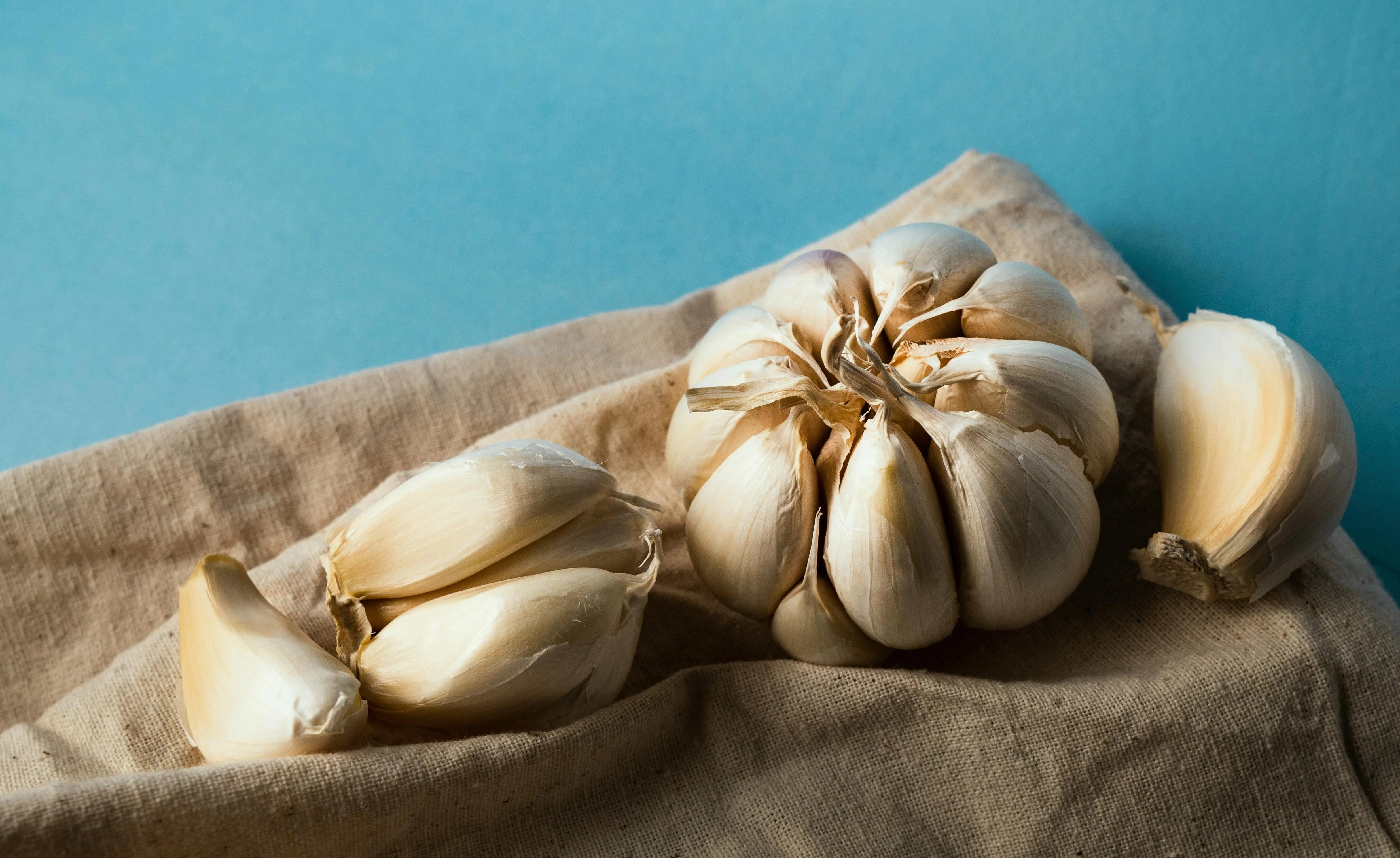 Bawang Putih Bukan Sekadar Bumbu: Studi Klinis Ungkap Potensi Antidiabetesnya