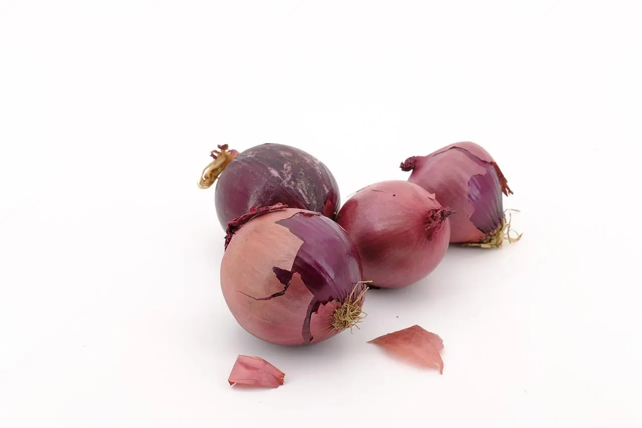 Konsumsi Bawang Merah untuk bisa Membantu Mengurangi Risiko Diabetes