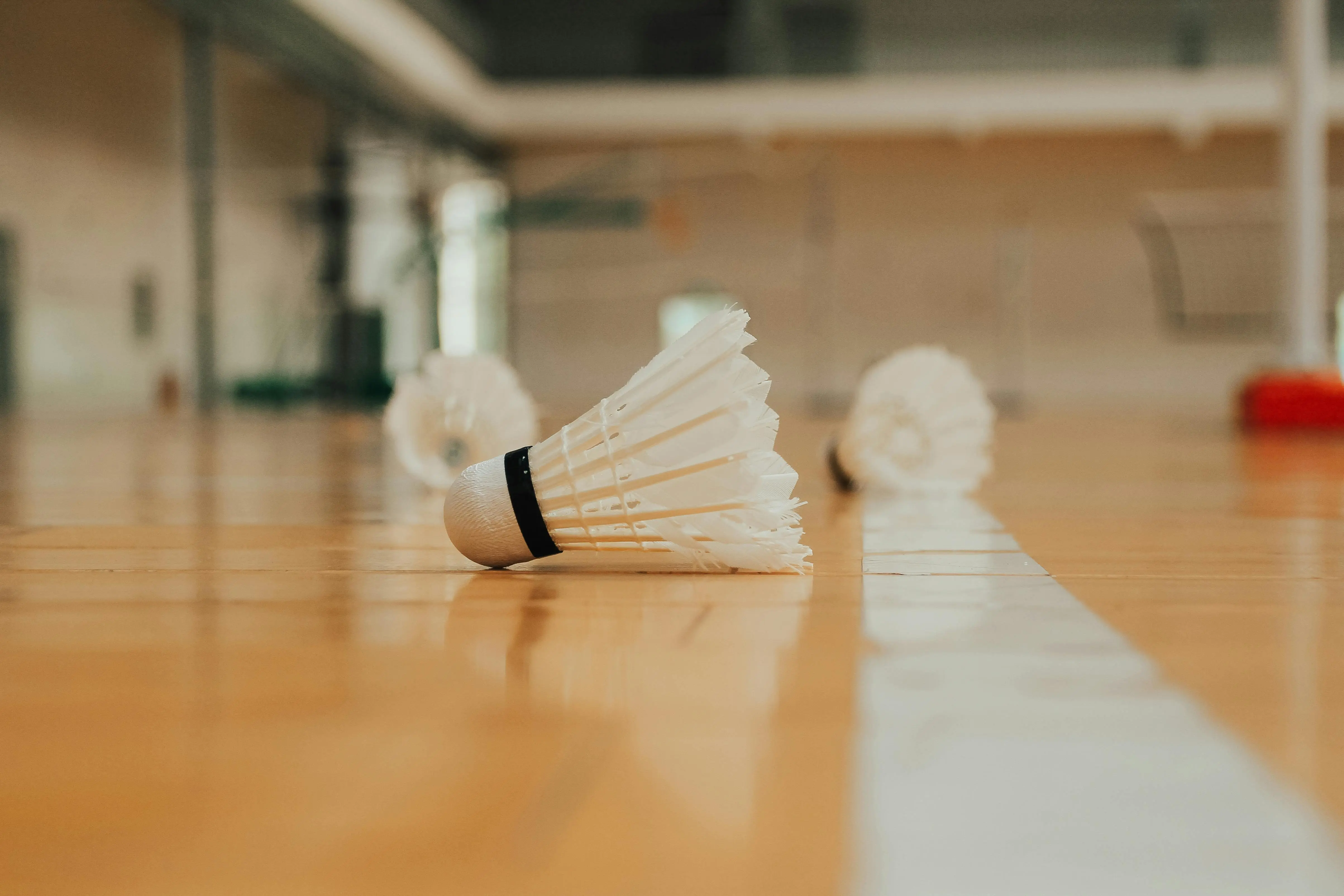 Shuttlecock Badminton Modern: Teknologi di Balik Bulu Angsa