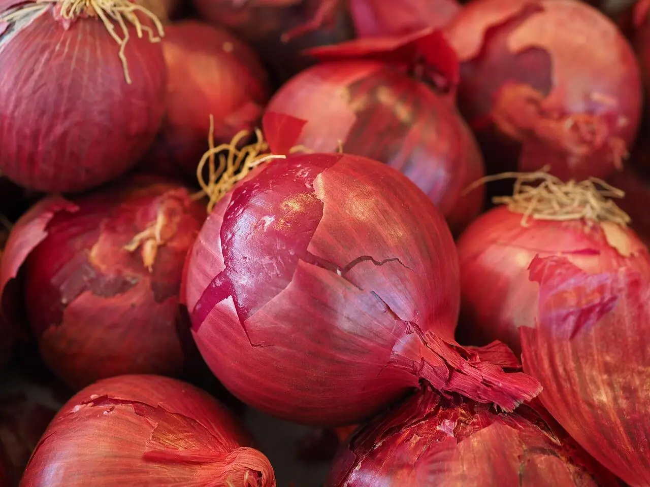 Bawang Merah: Senjata Rahasia Dapur Membantu Melawan Peradangan Kronis