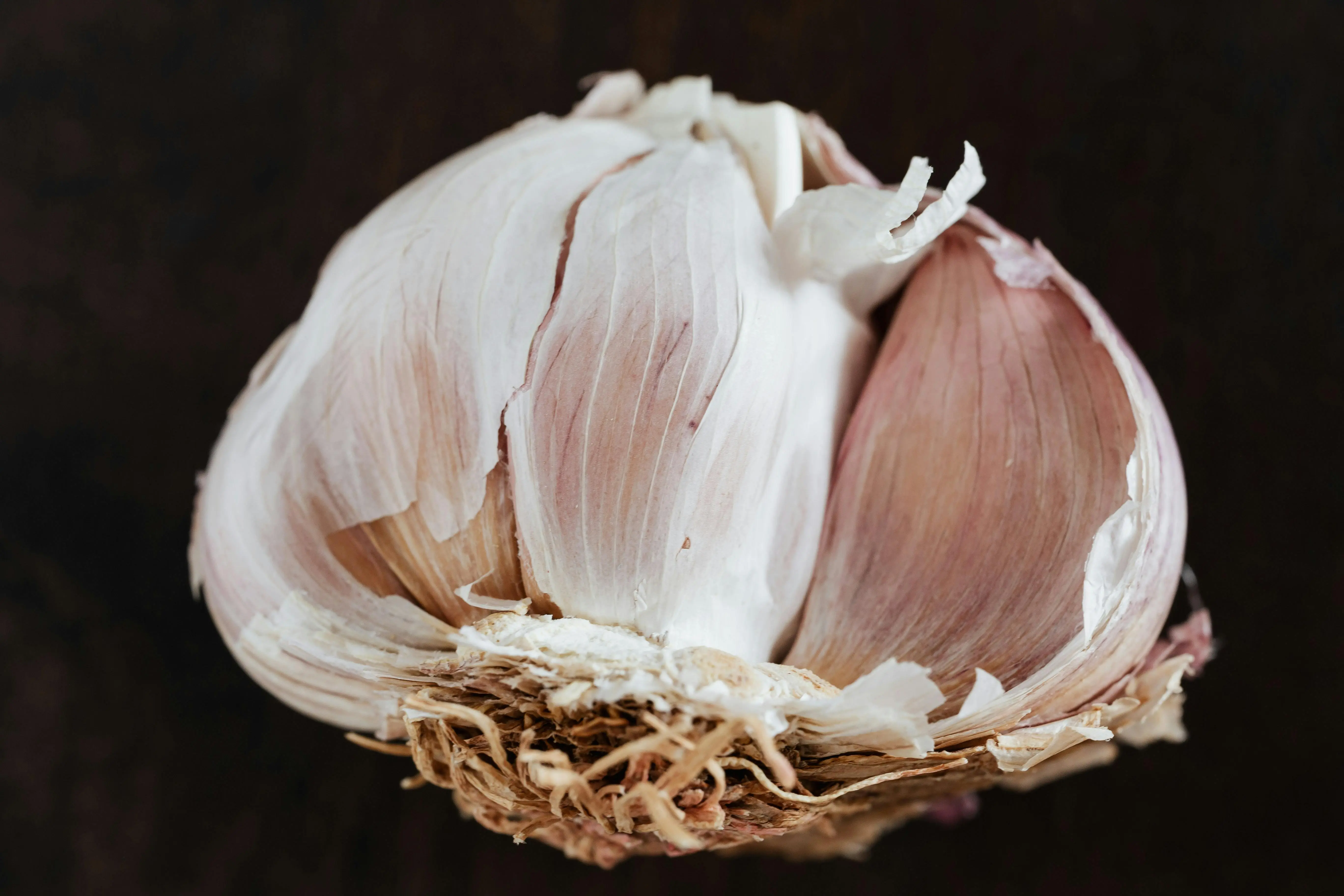 Sejarah Penggunaan Bawang Putih dalam Pengobatan