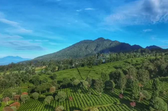 Mau ke Gunung Burangrang? Simak 3 Jalur Pendakian yang Punya Keindahan dan Tantangan Tersendiri