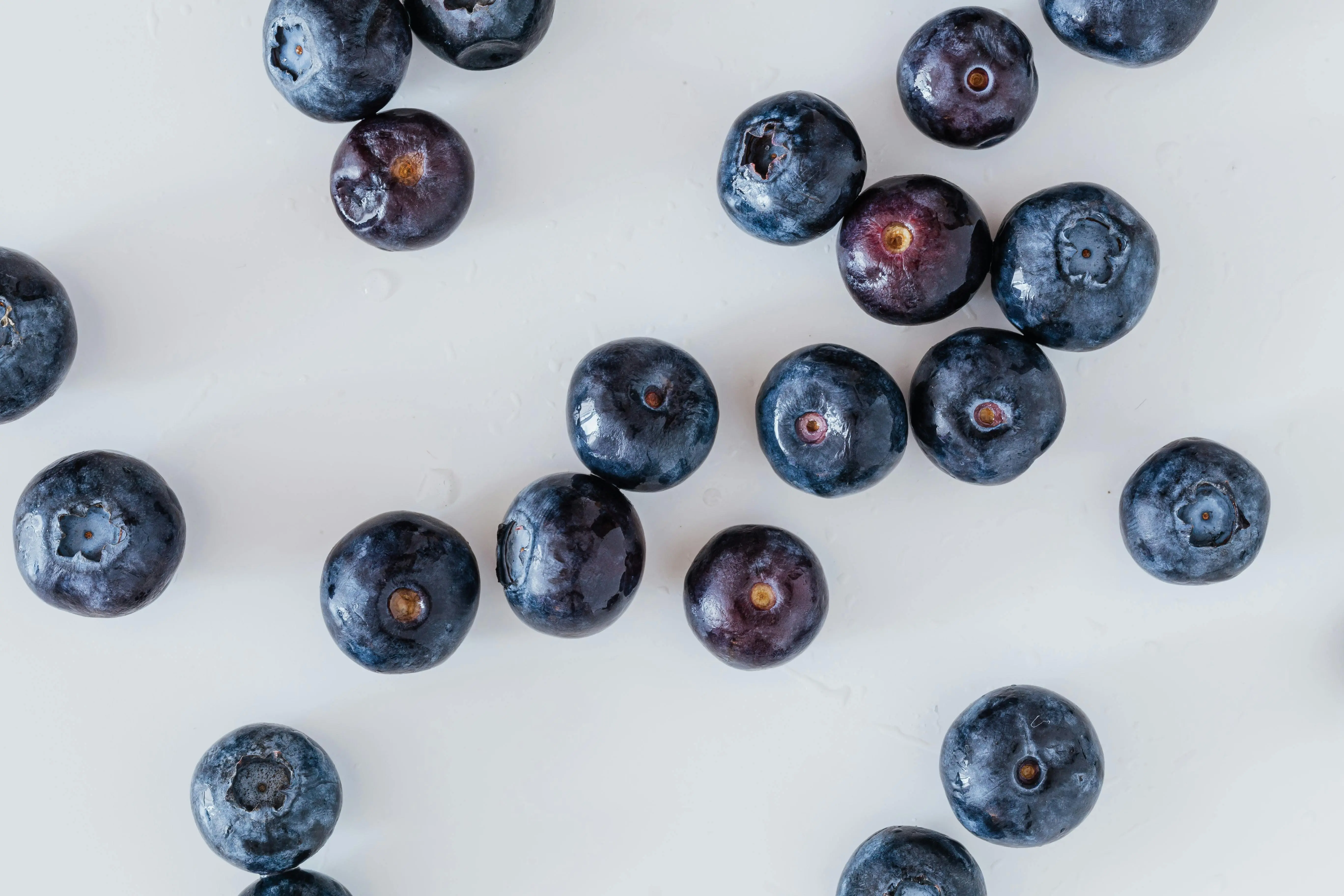 Blueberry dalam Neuroprotection: Studi Pre klinis