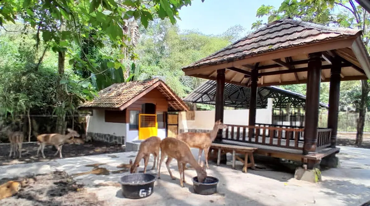 Rekomendasi 4 Tempat Main di Garut, Seru untuk Keluarga dan Pencinta Alam