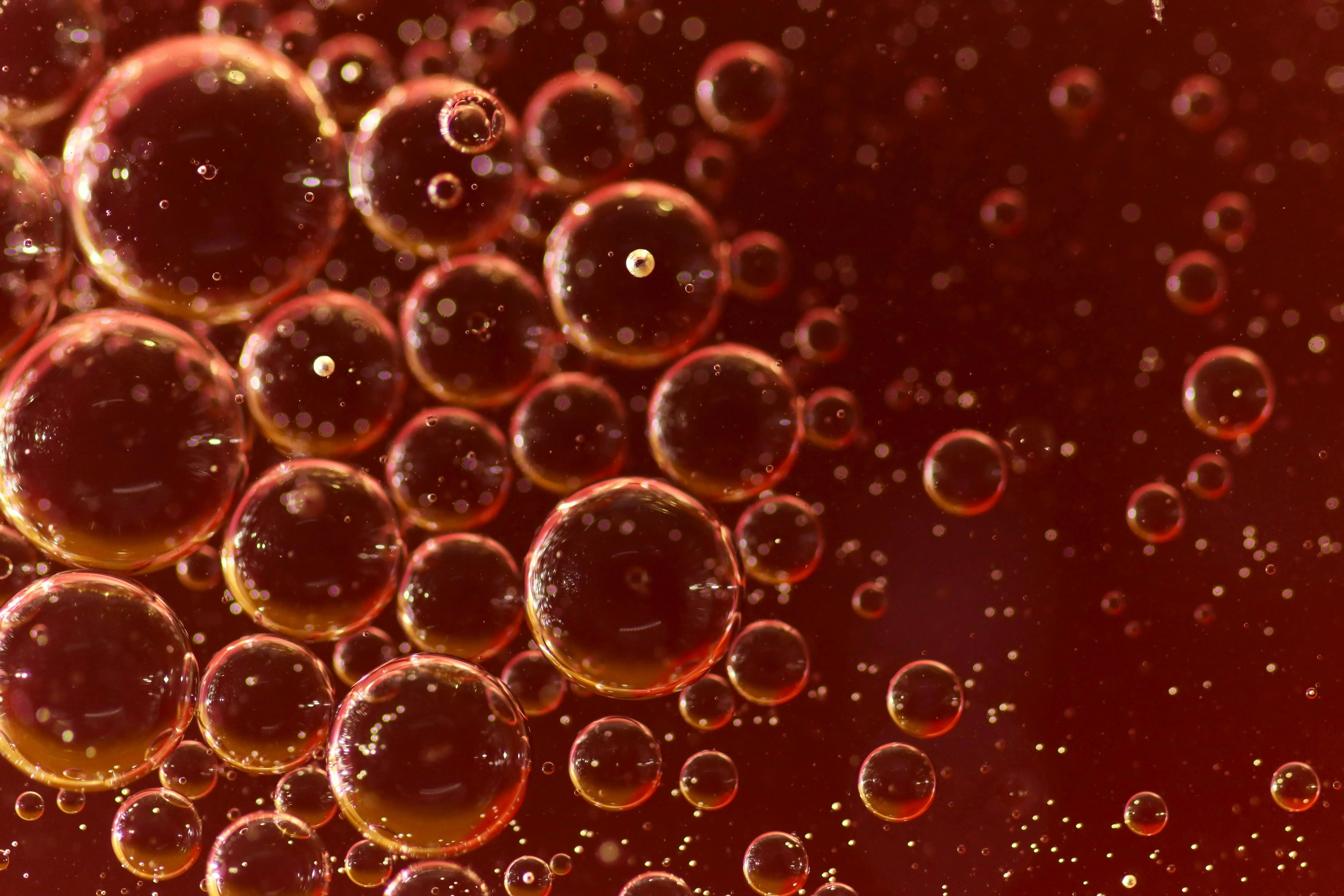 Cranberry Oil untuk Bantu Membuat Rambut Sehat dan Berkilau