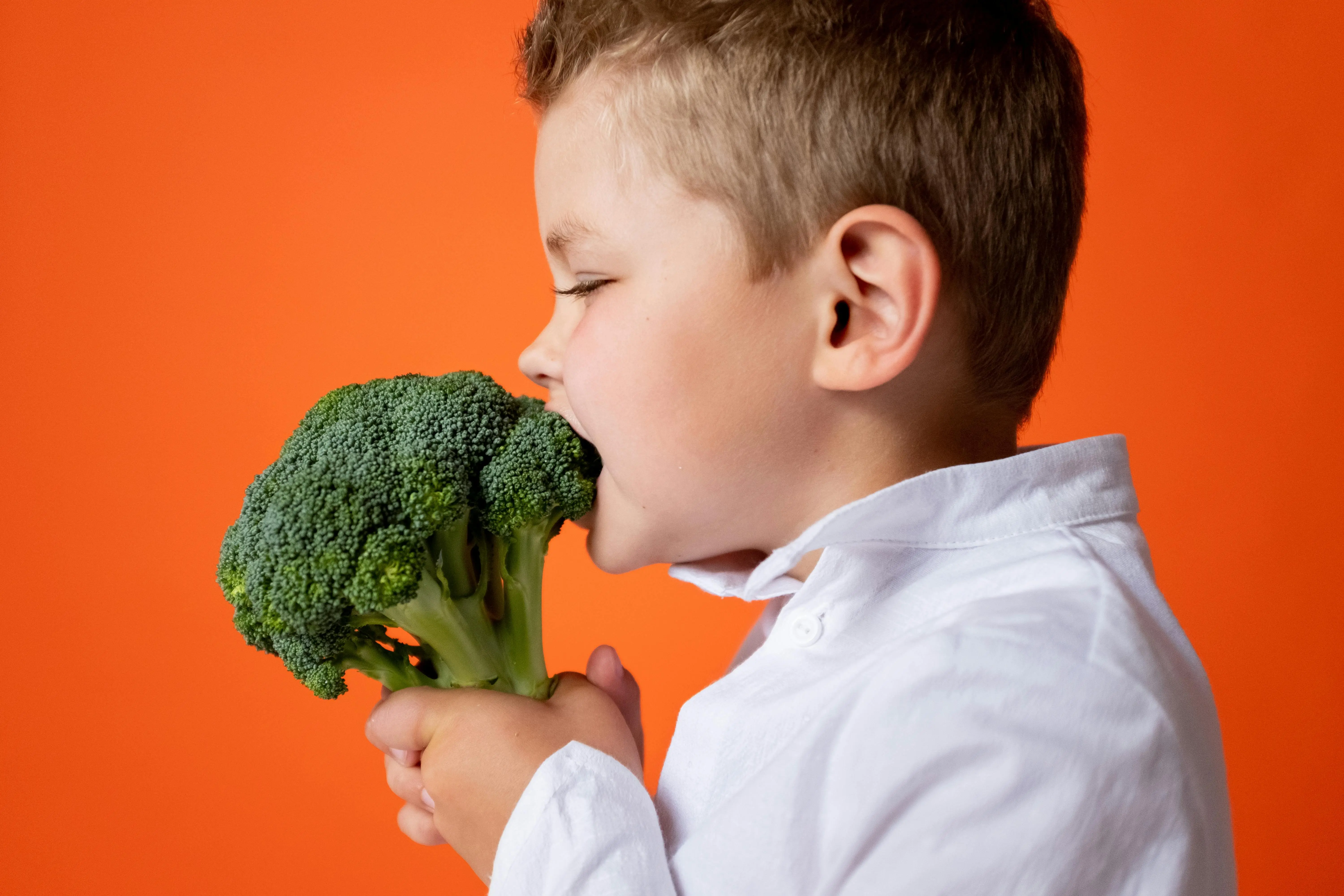 Cara Membujuk Anak Suka Makan Brokoli, Inilah yang bisa Dilakukan