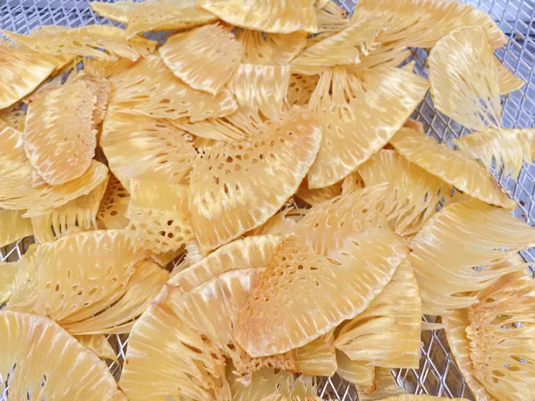 Keripik Sukun Anti Gagal, Gurihnya Nempel dan Renyahnya Awet Lama!