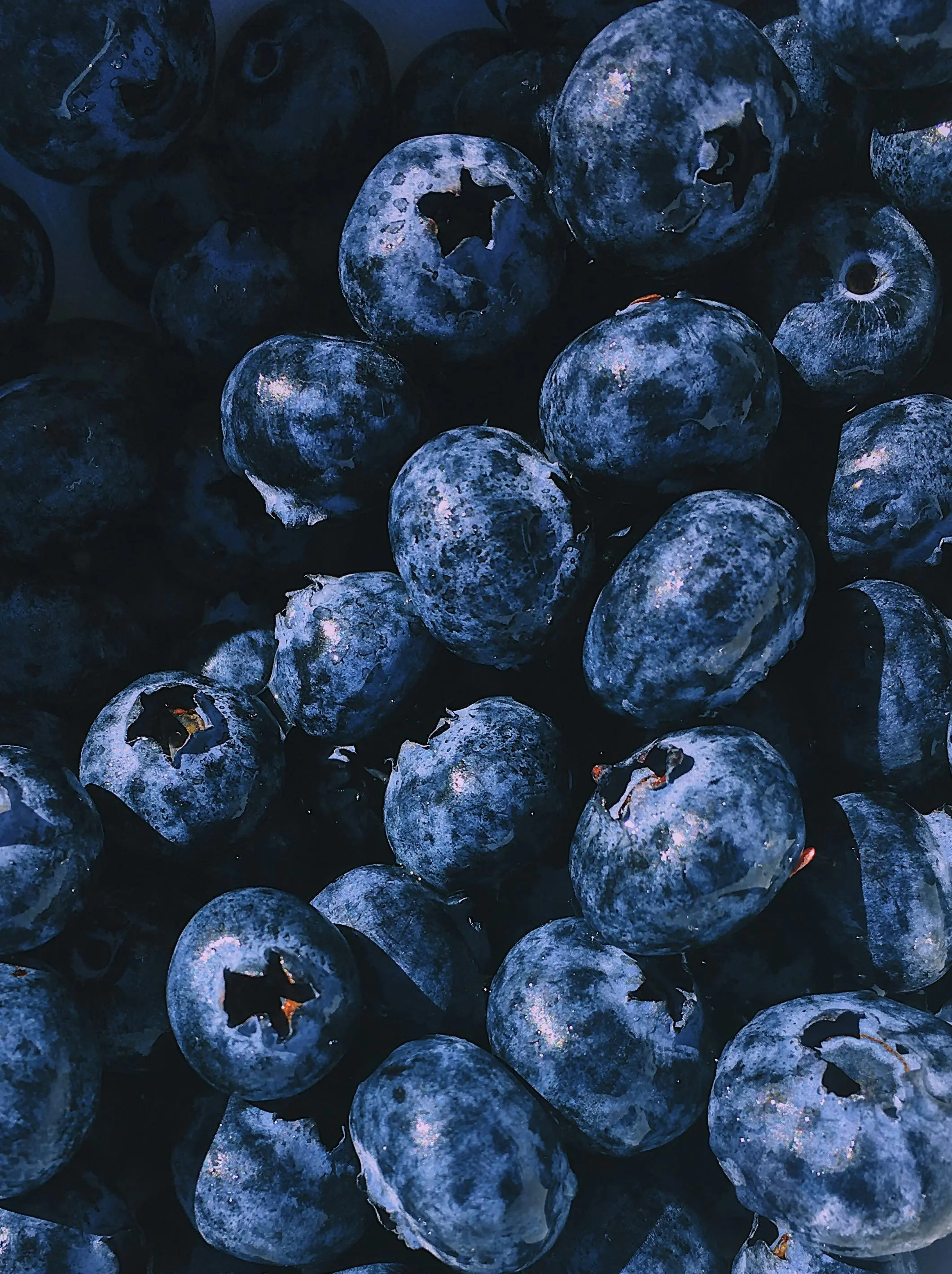 Perlindungan Ganda: Melawan Kerutan dan Radikal Bebas dengan Kekuatan Ekstrak Blueberry